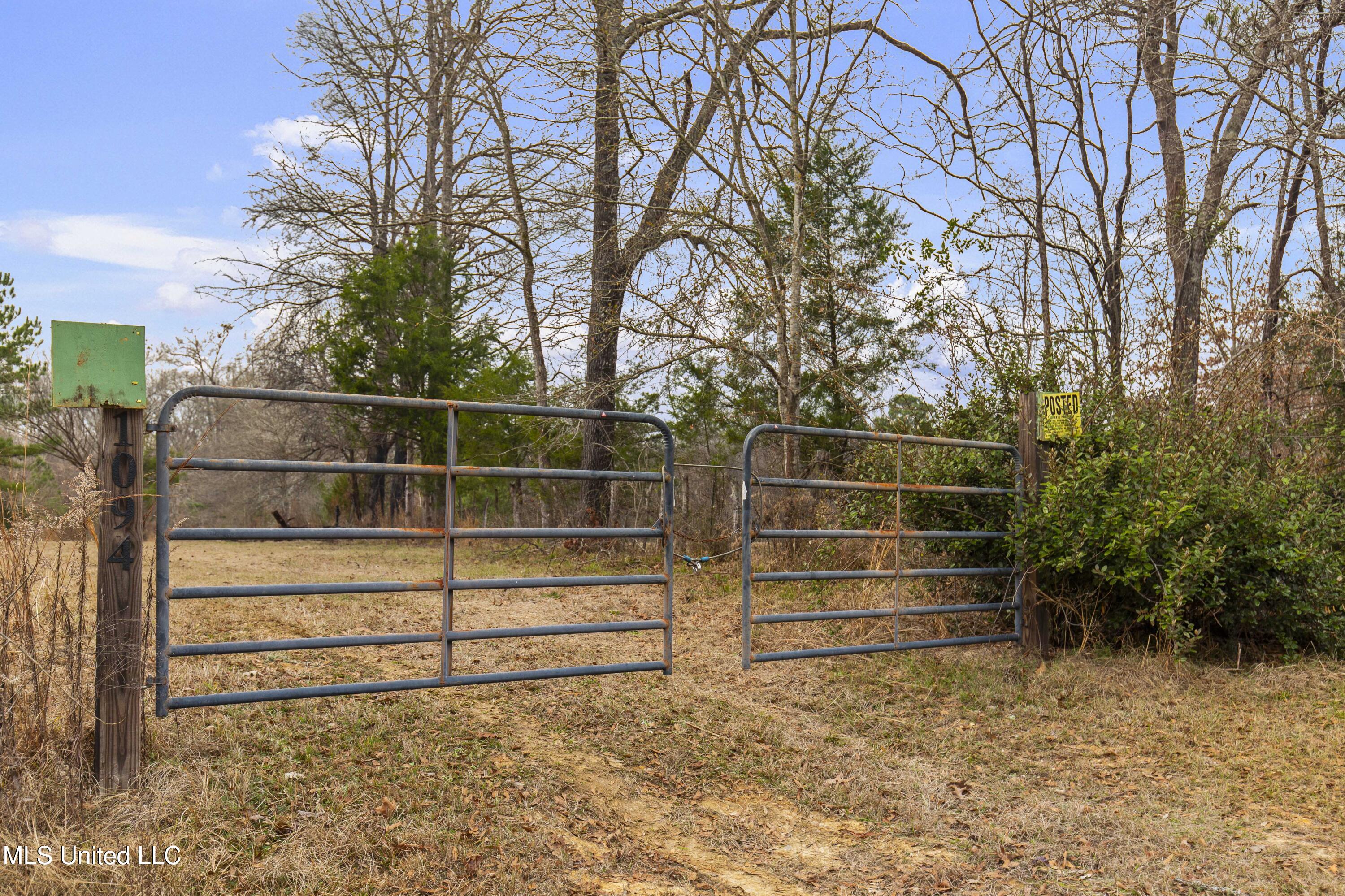 Mount Pilgrim Road Property Photo 4