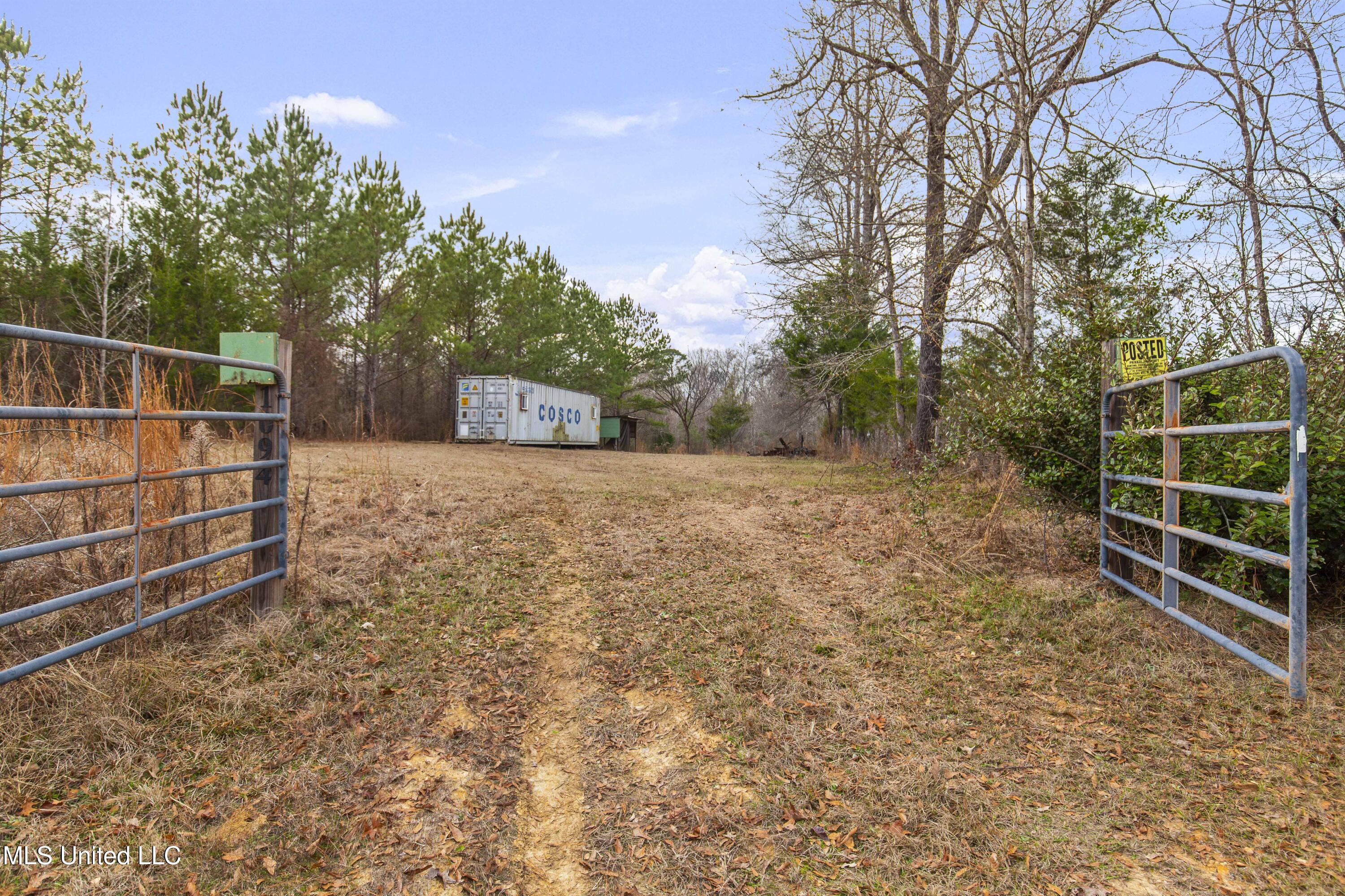 Mount Pilgrim Road Property Photo 5