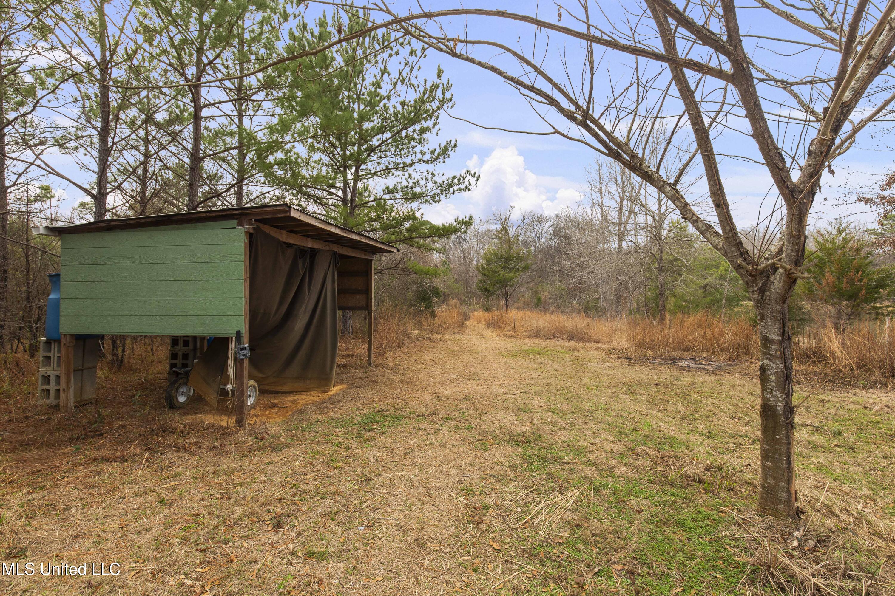 Mount Pilgrim Road Property Photo 6