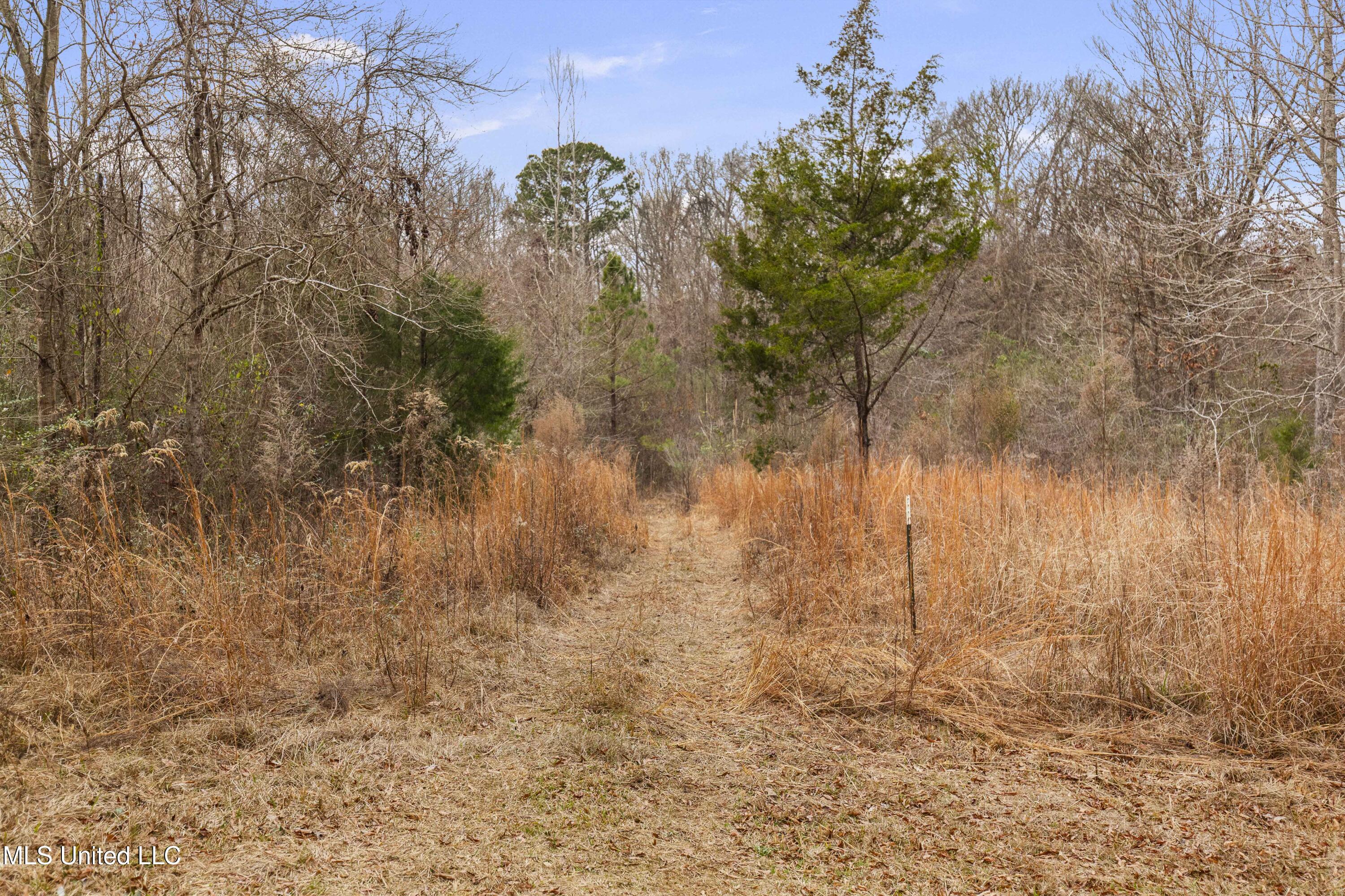 Mount Pilgrim Road Property Photo 8