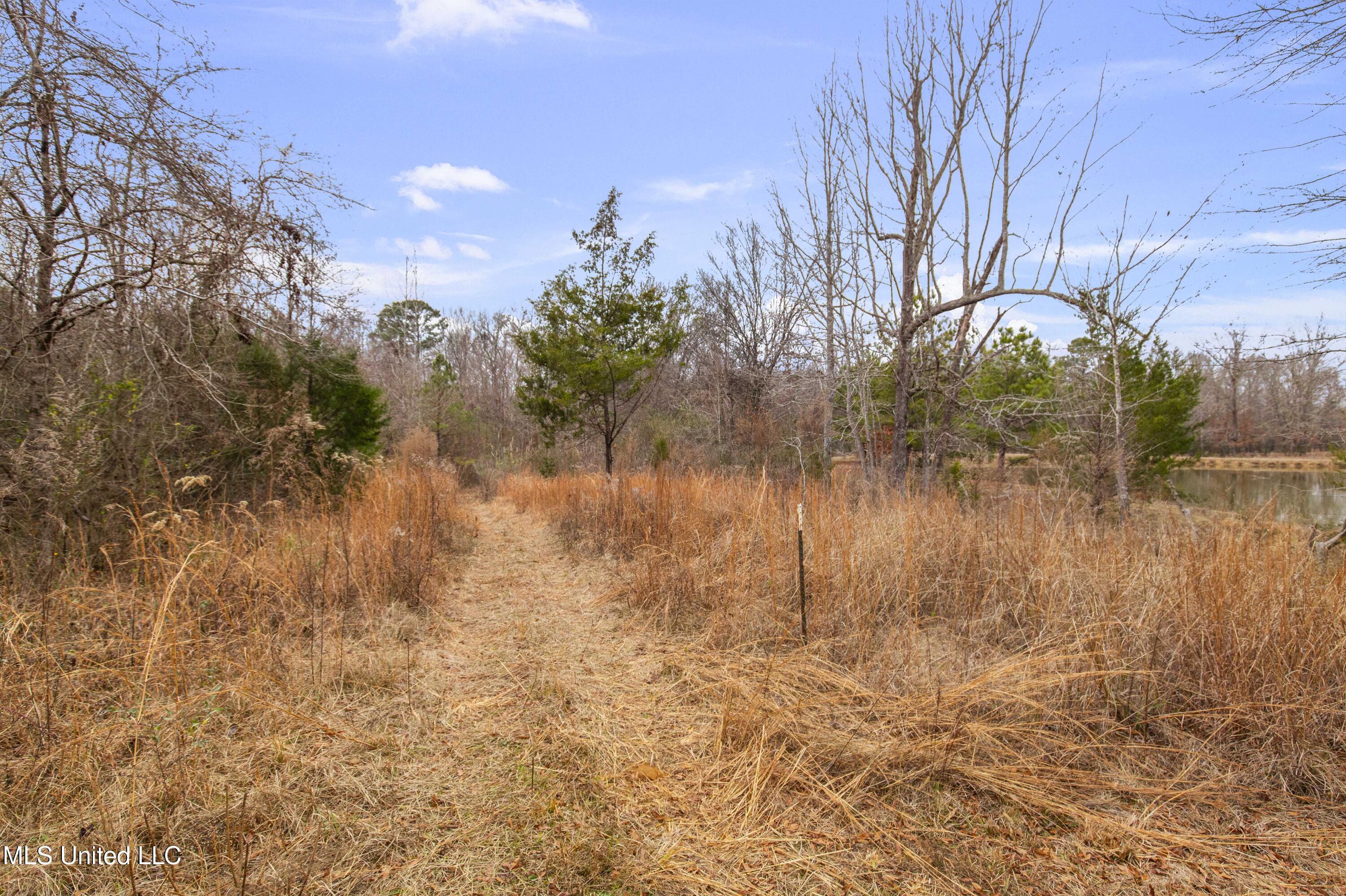 Mount Pilgrim Road Property Photo 9