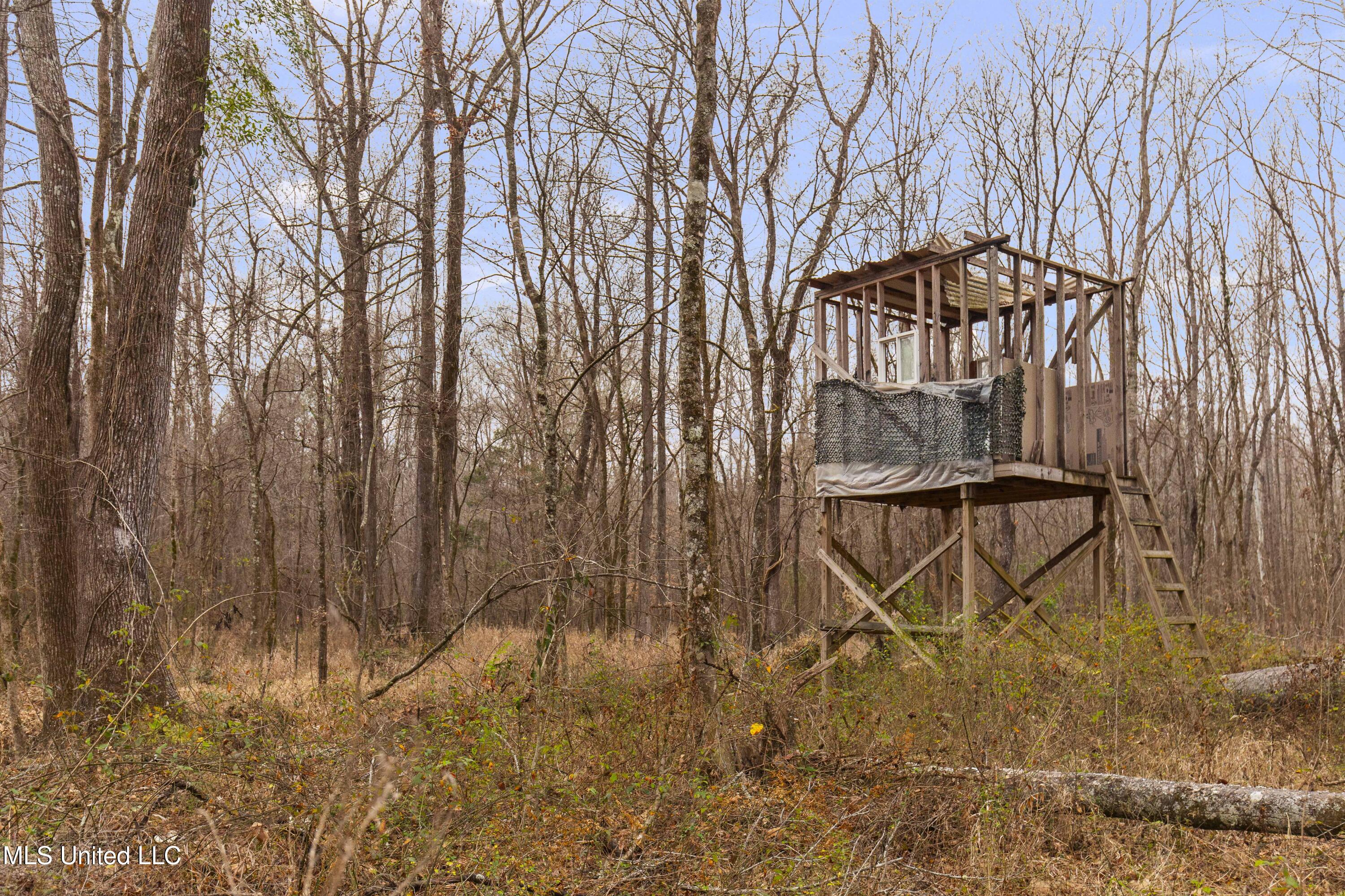 Mount Pilgrim Road Property Photo 17