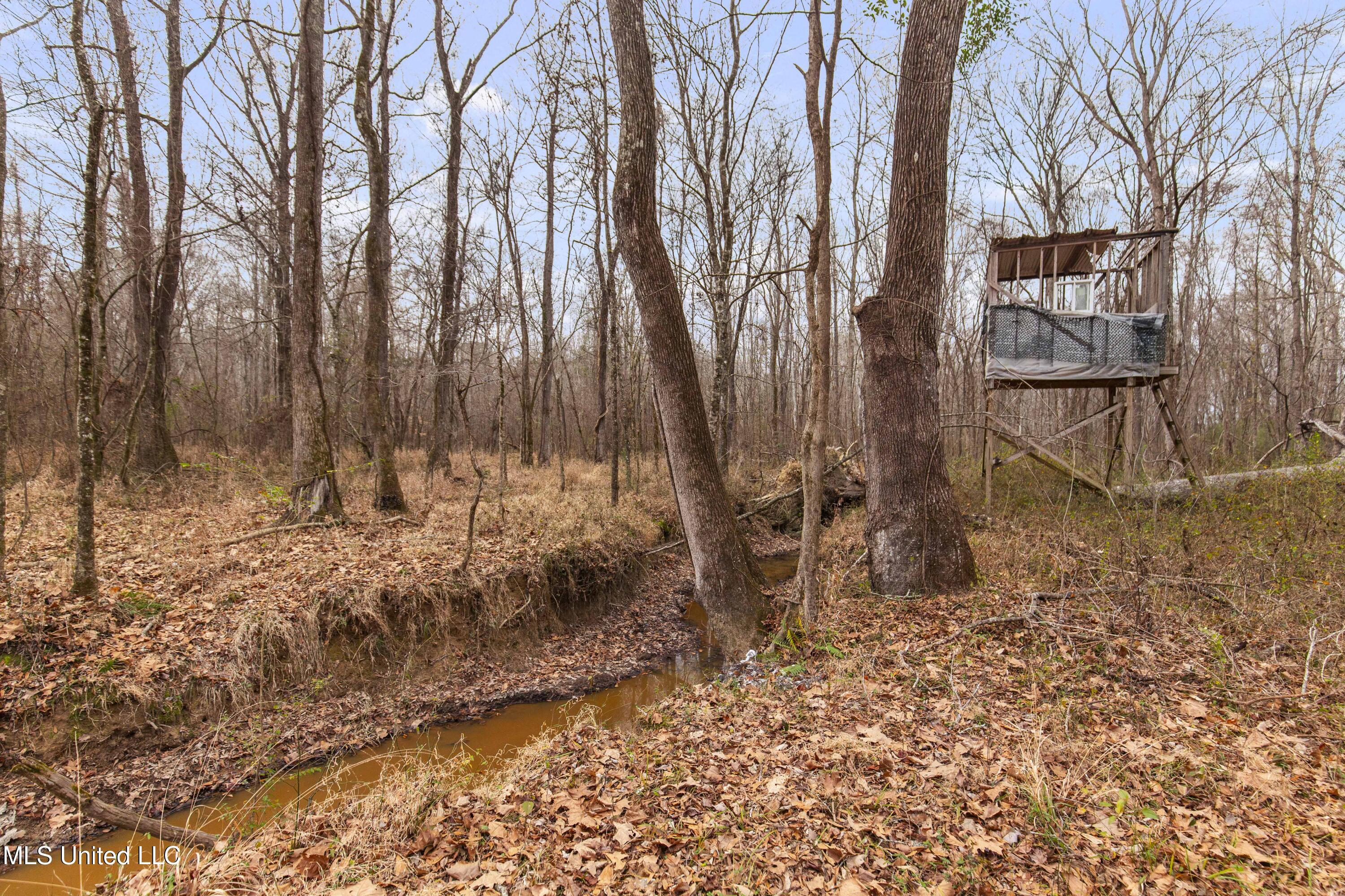 Mount Pilgrim Road Property Photo 18