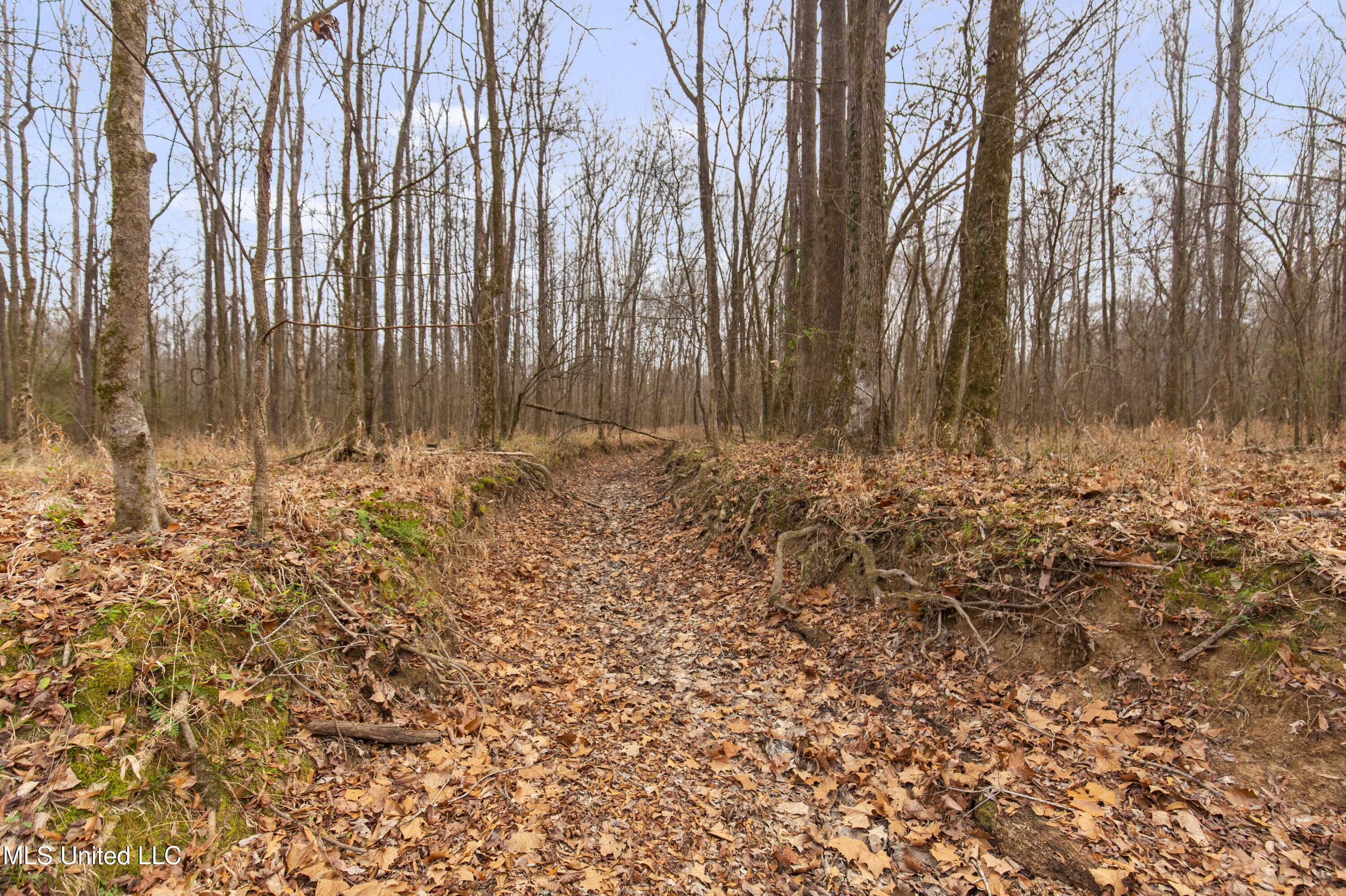 Mount Pilgrim Road Property Photo 19