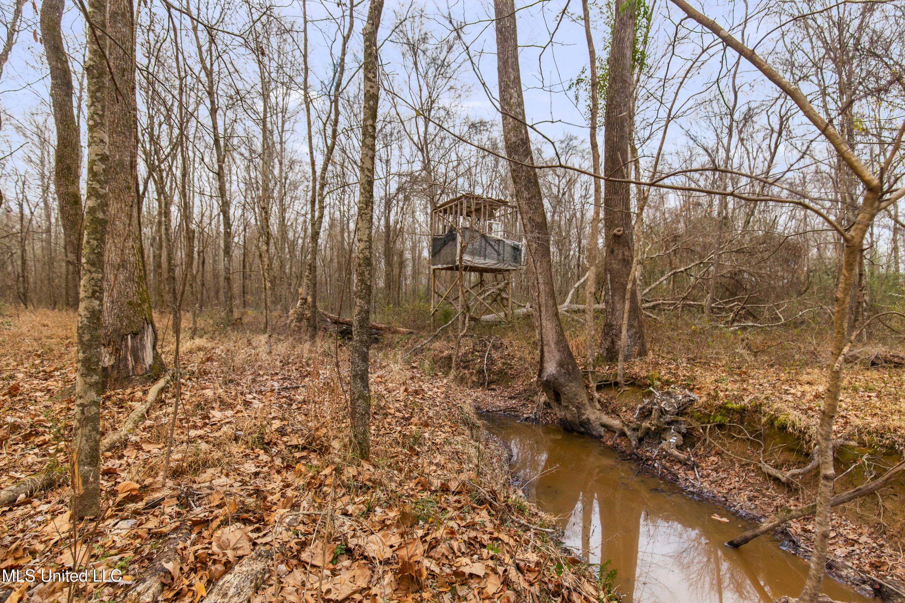 Mount Pilgrim Road Property Photo 20