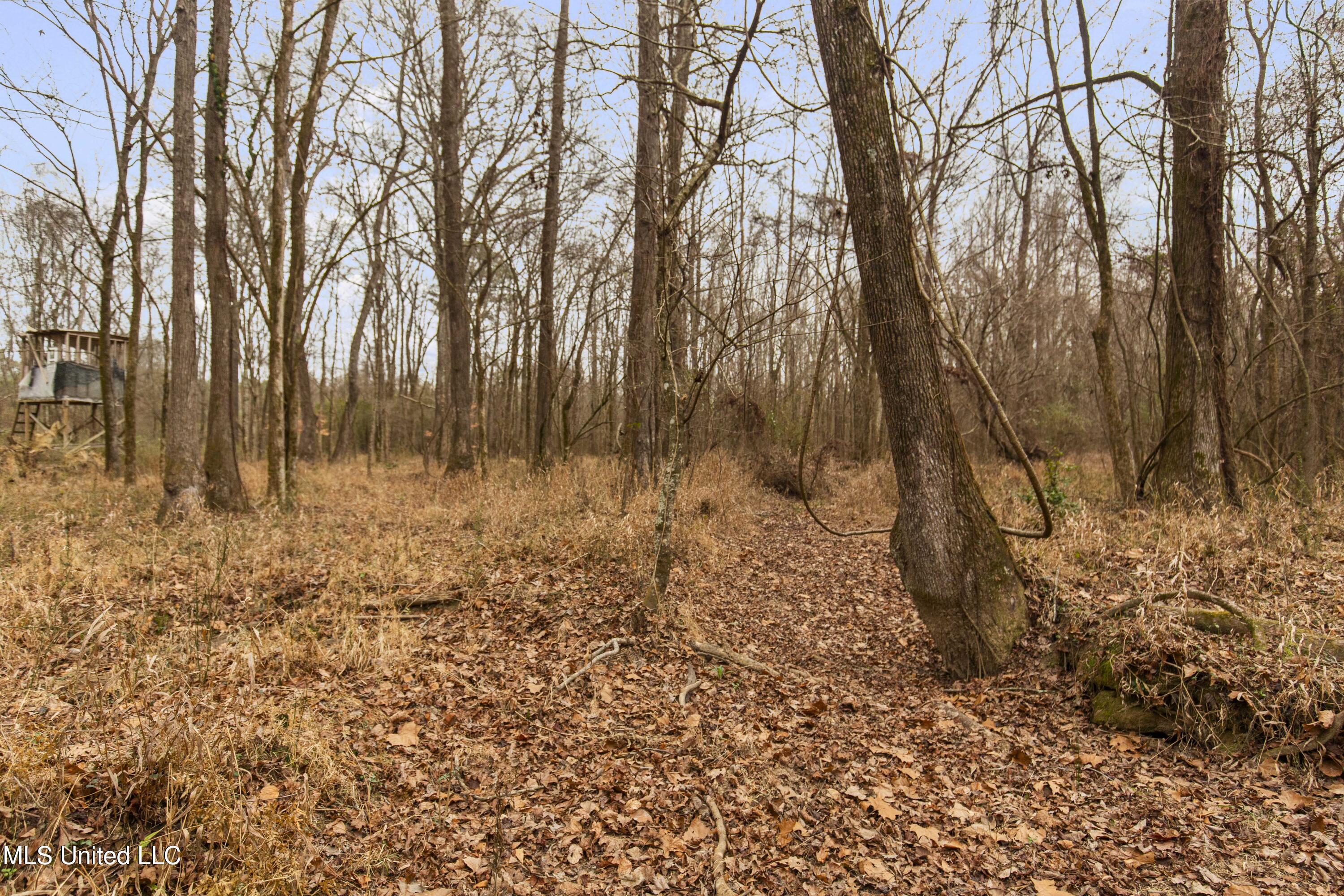 Mount Pilgrim Road Property Photo 22