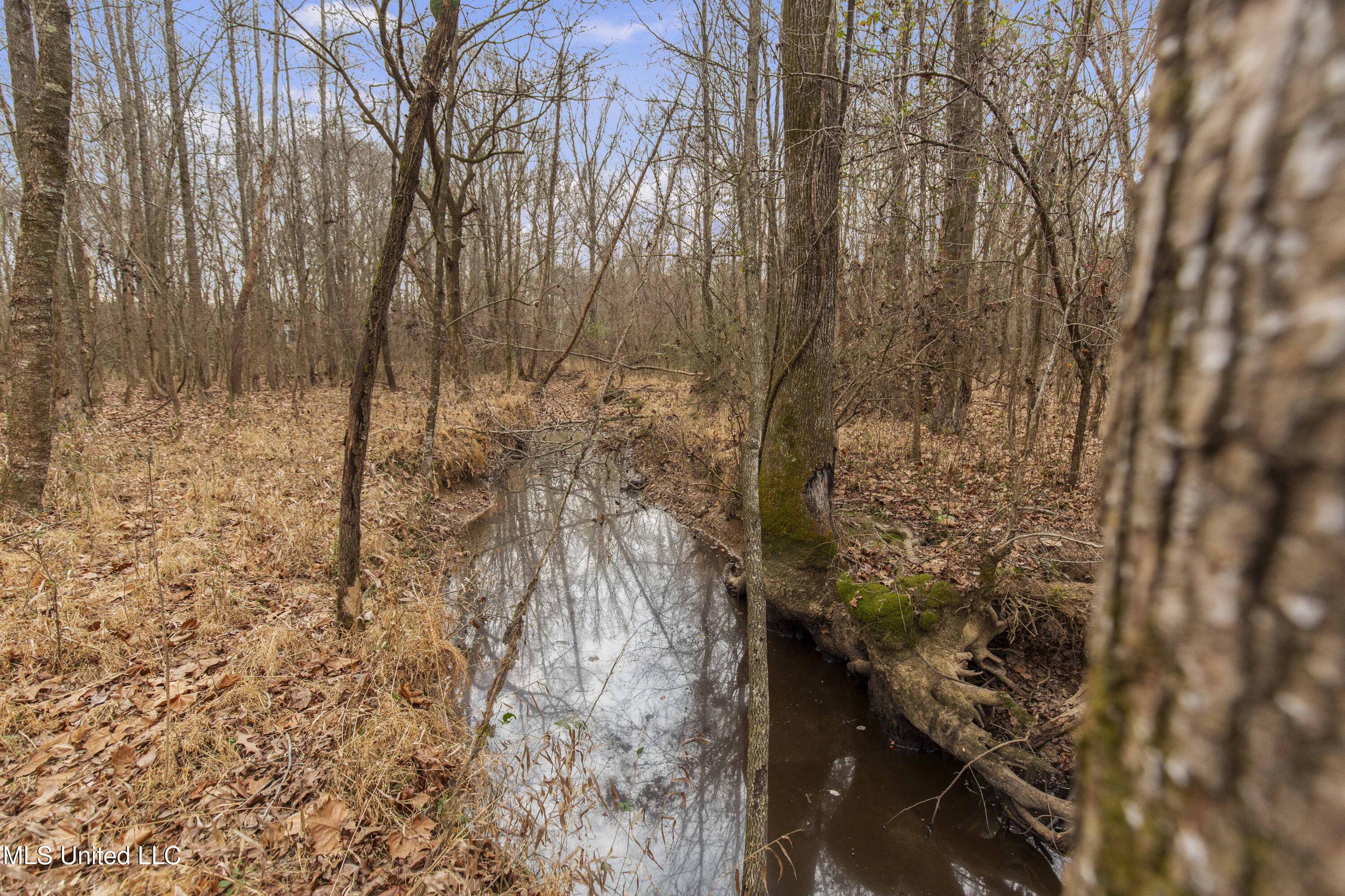 Mount Pilgrim Road Property Photo 29