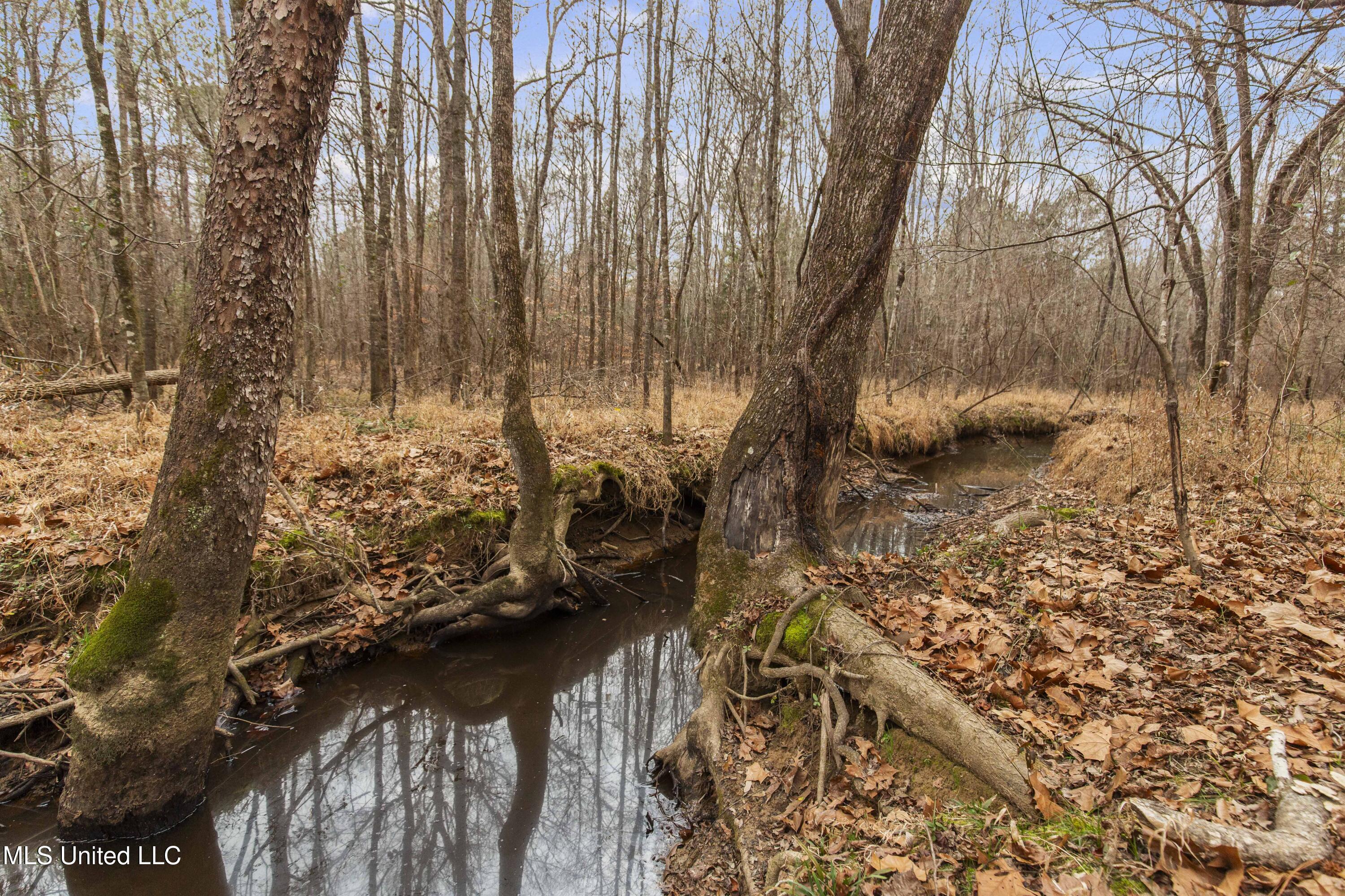 Mount Pilgrim Road Property Photo 31