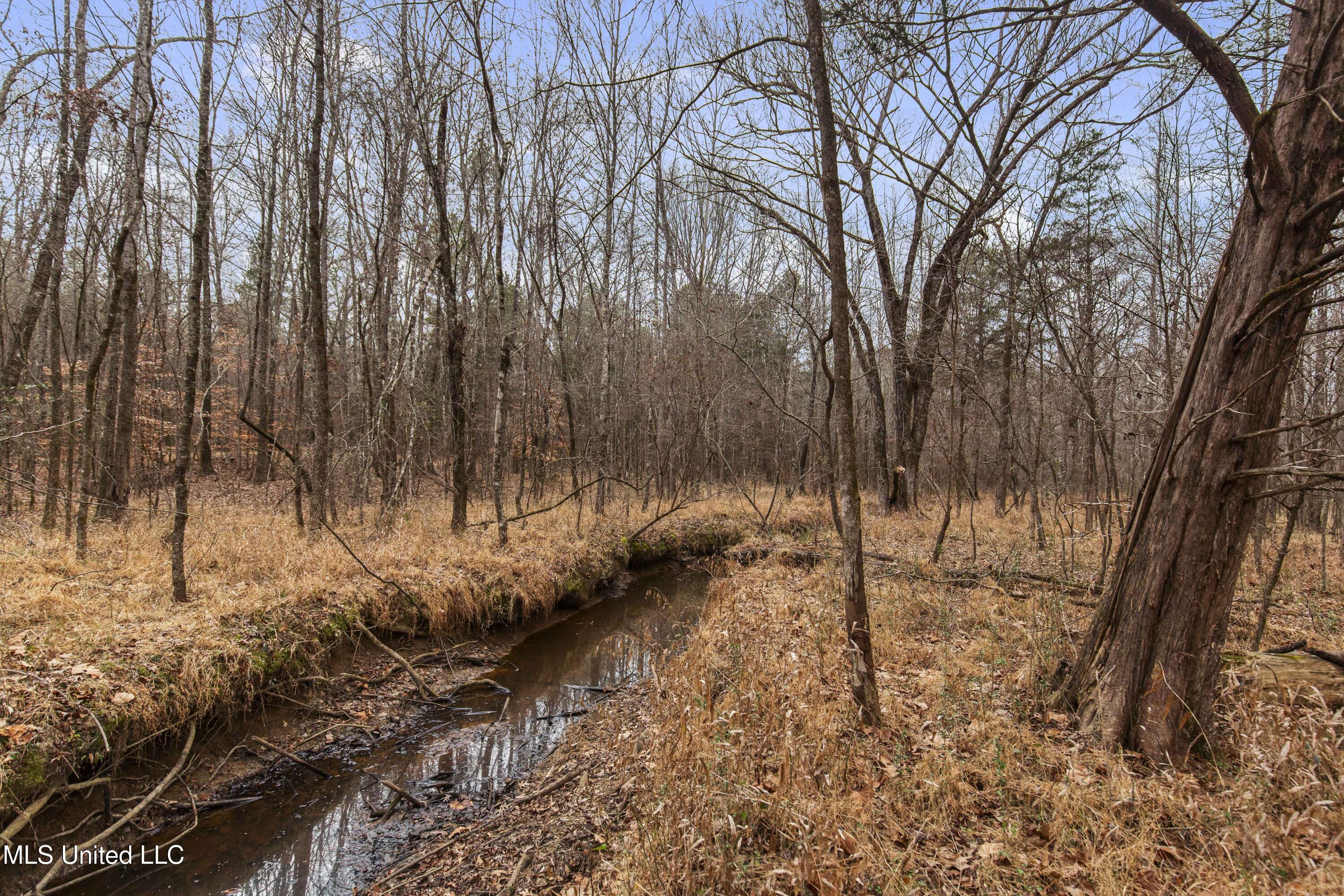 Mount Pilgrim Road Property Photo 32