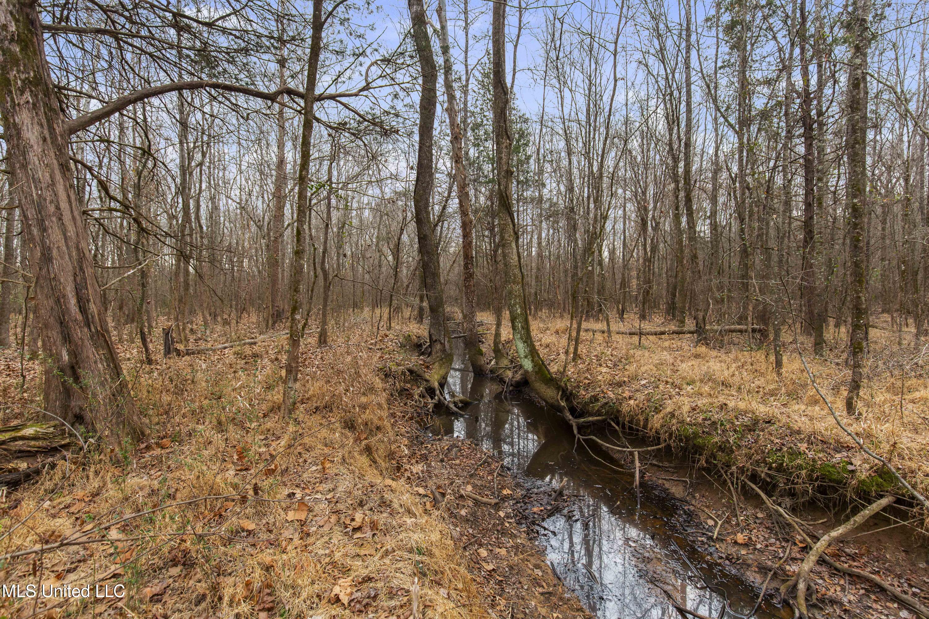 Mount Pilgrim Road Property Photo 33