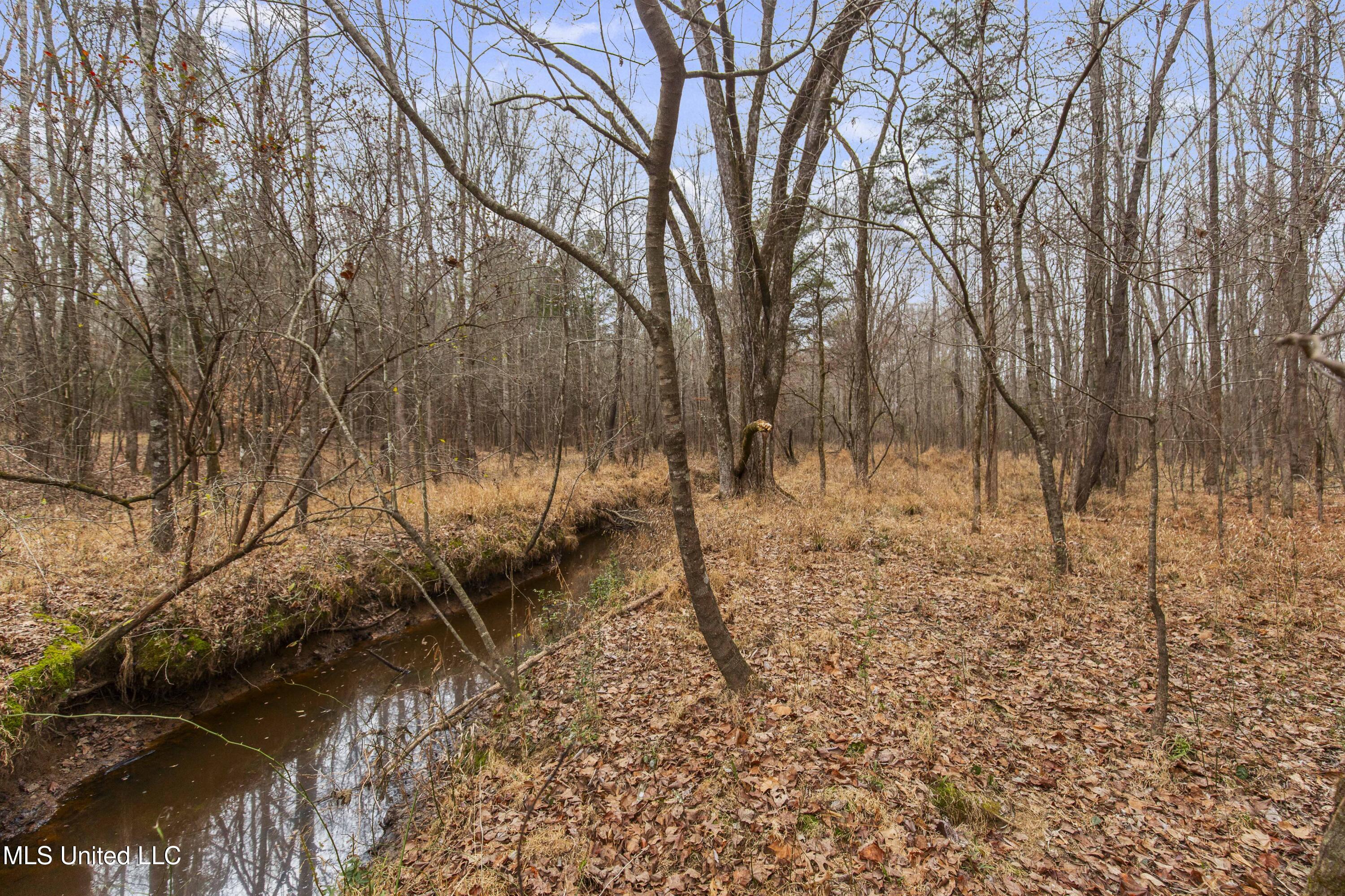 Mount Pilgrim Road Property Photo 34