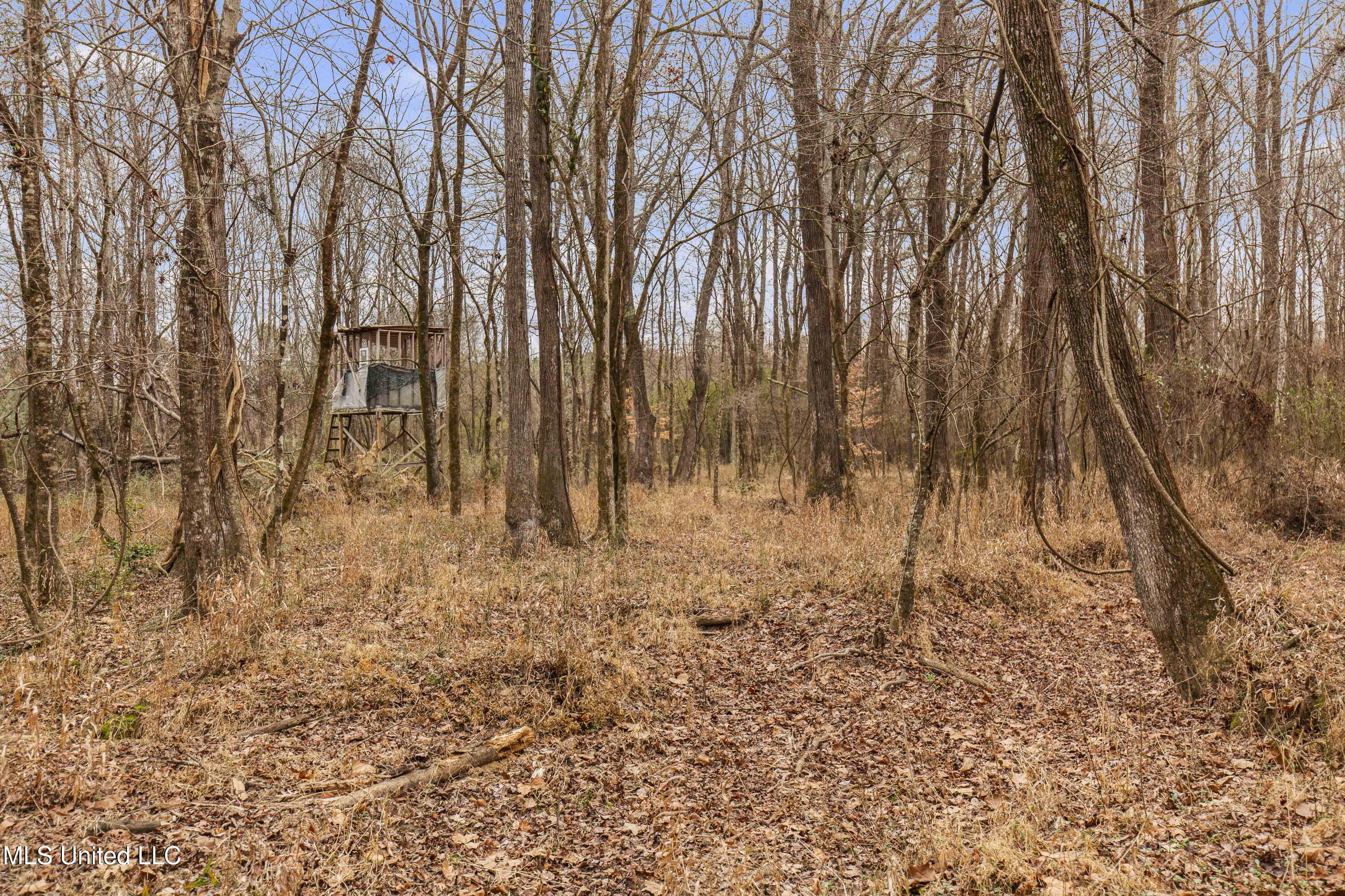 Mount Pilgrim Road Property Photo 38