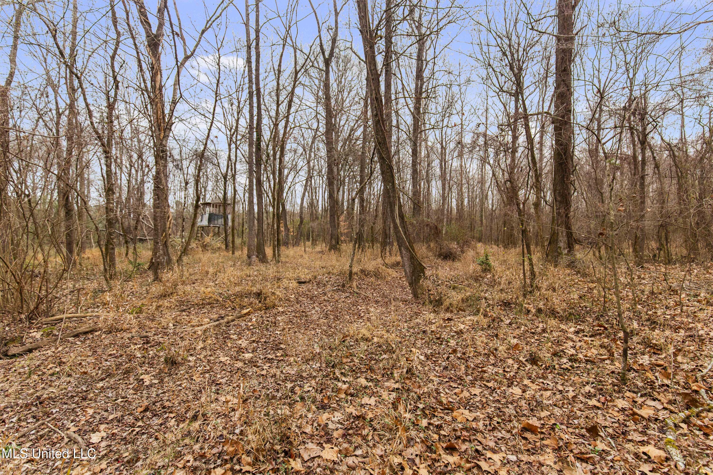 Mount Pilgrim Road Property Photo 39
