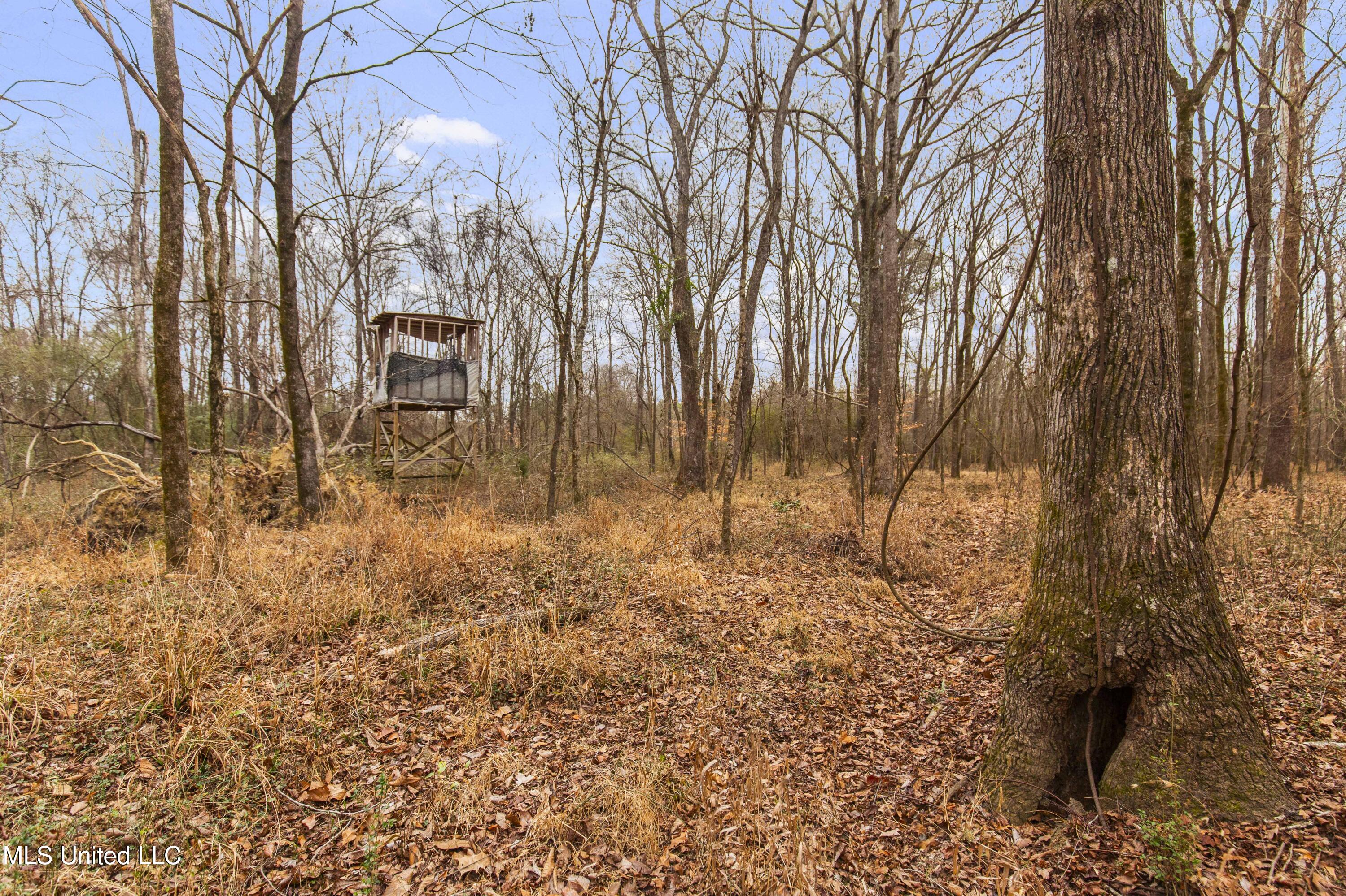 Mount Pilgrim Road Property Photo 40