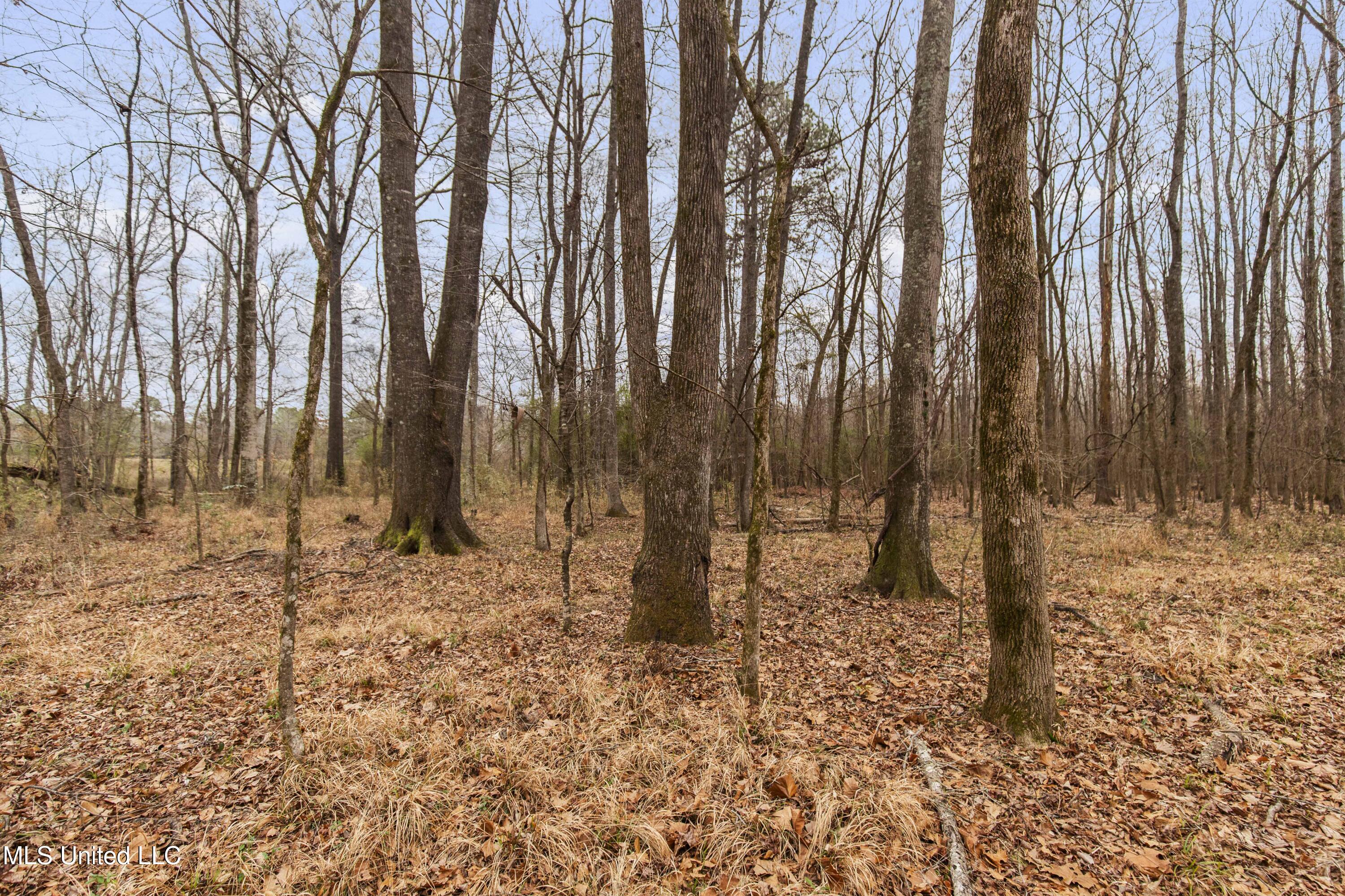 Mount Pilgrim Road Property Photo 42