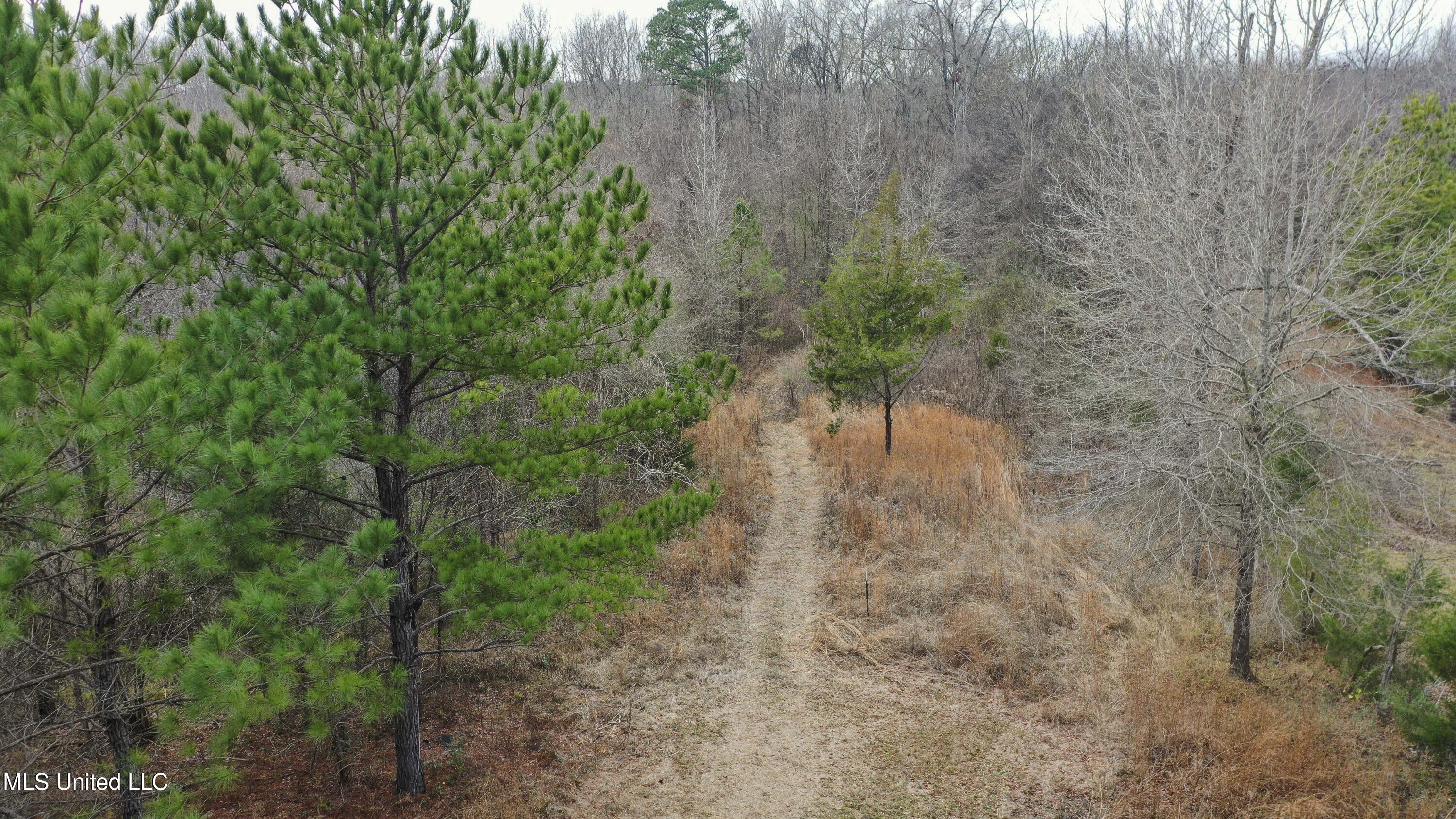 Mount Pilgrim Road Property Photo 44