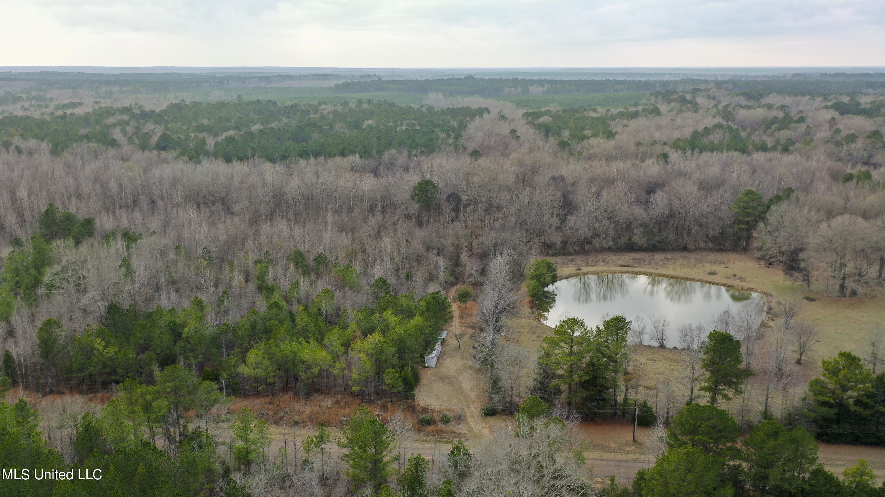 Mount Pilgrim Road Property Photo 45