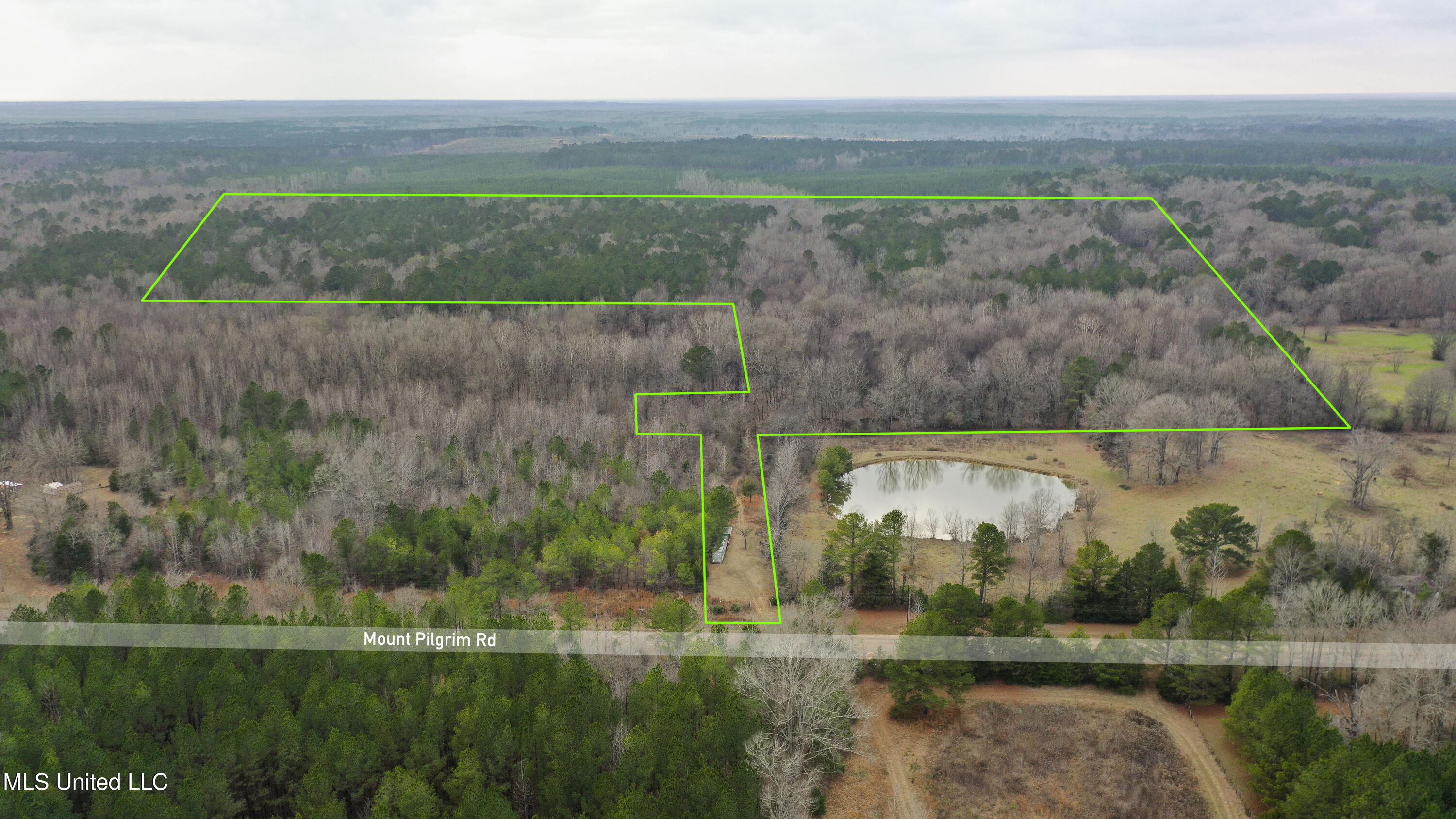 Mount Pilgrim Road Property Photo 48