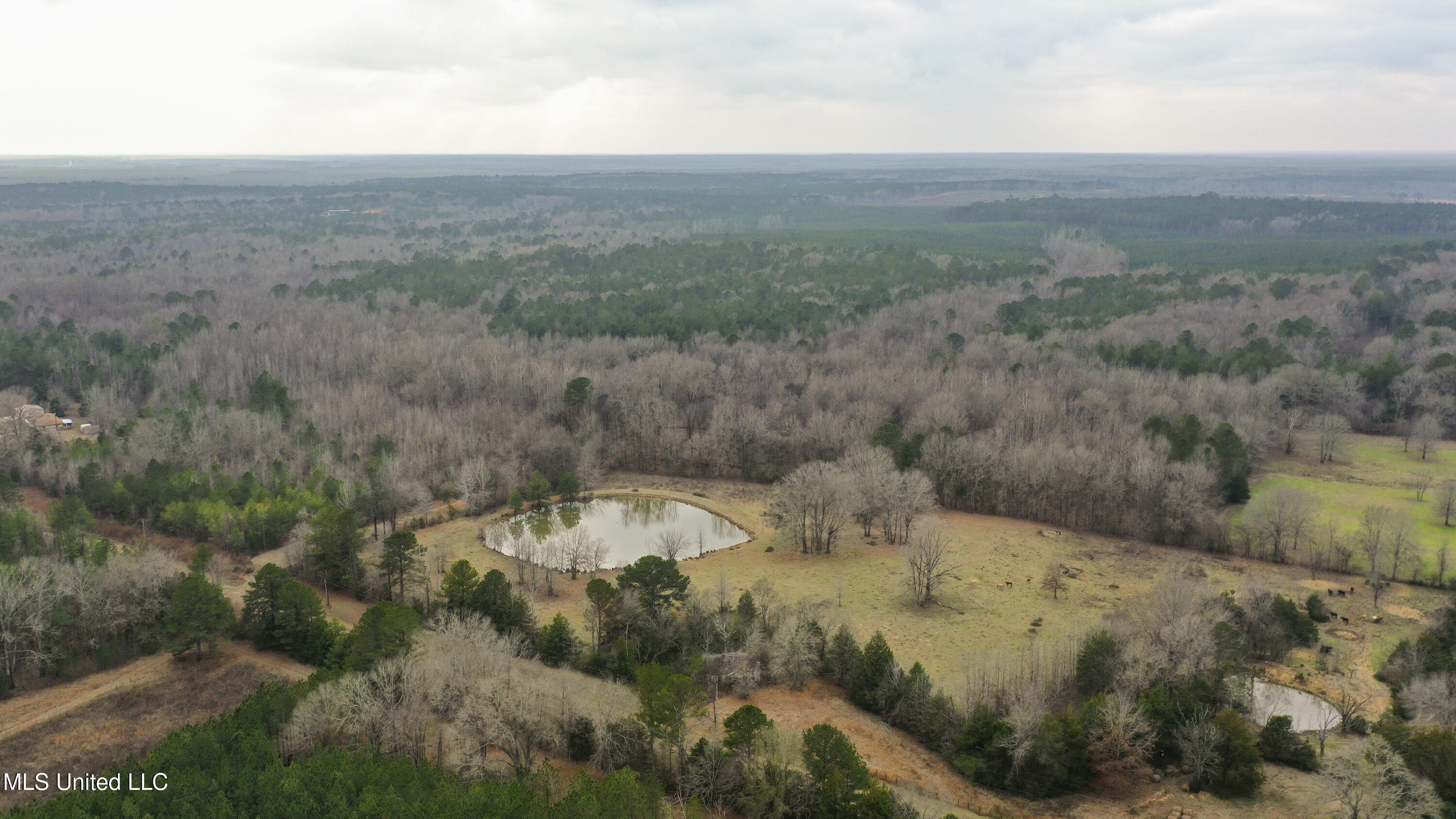 Mount Pilgrim Road Property Photo 49