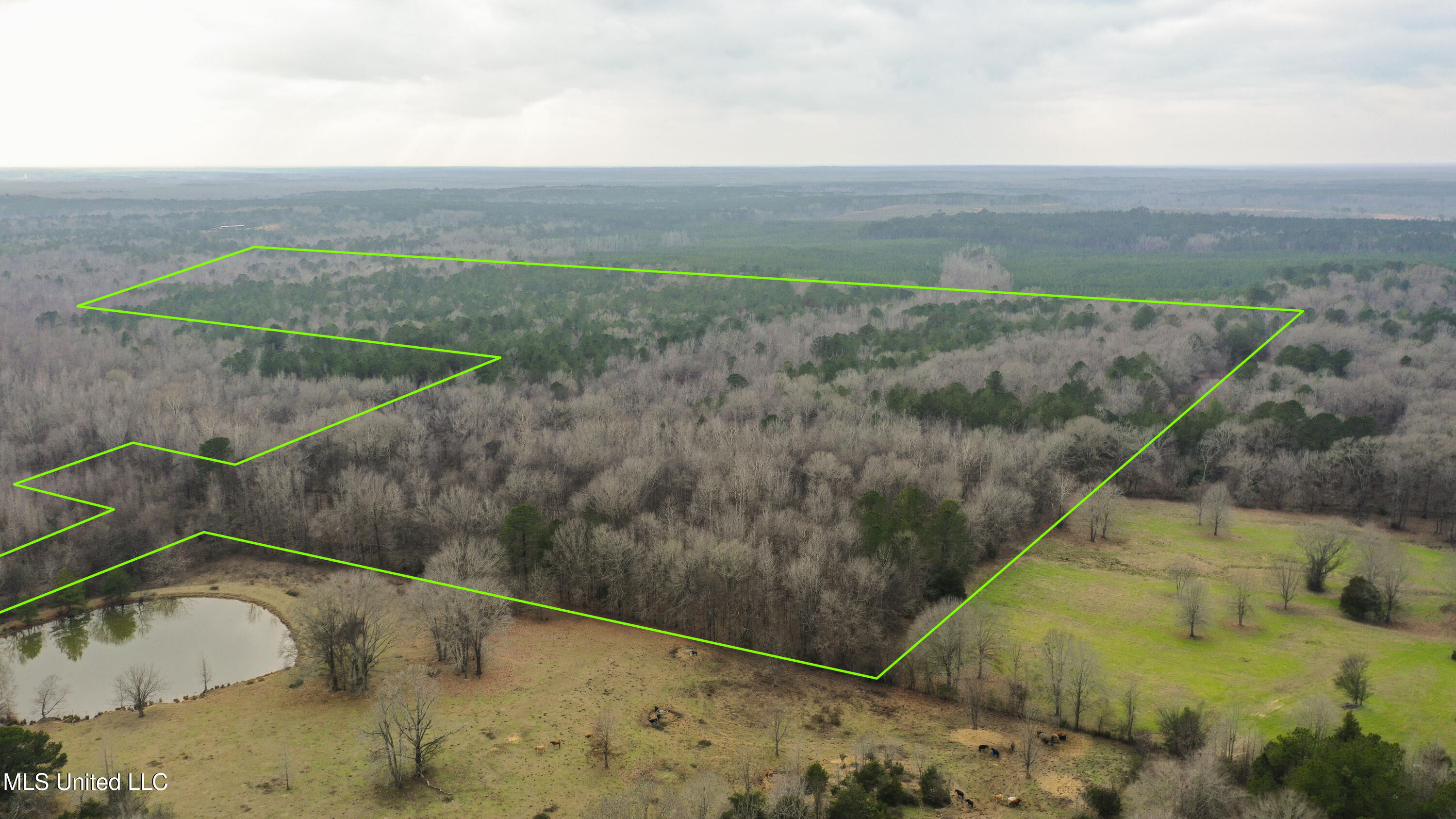 Mount Pilgrim Road Property Photo 51