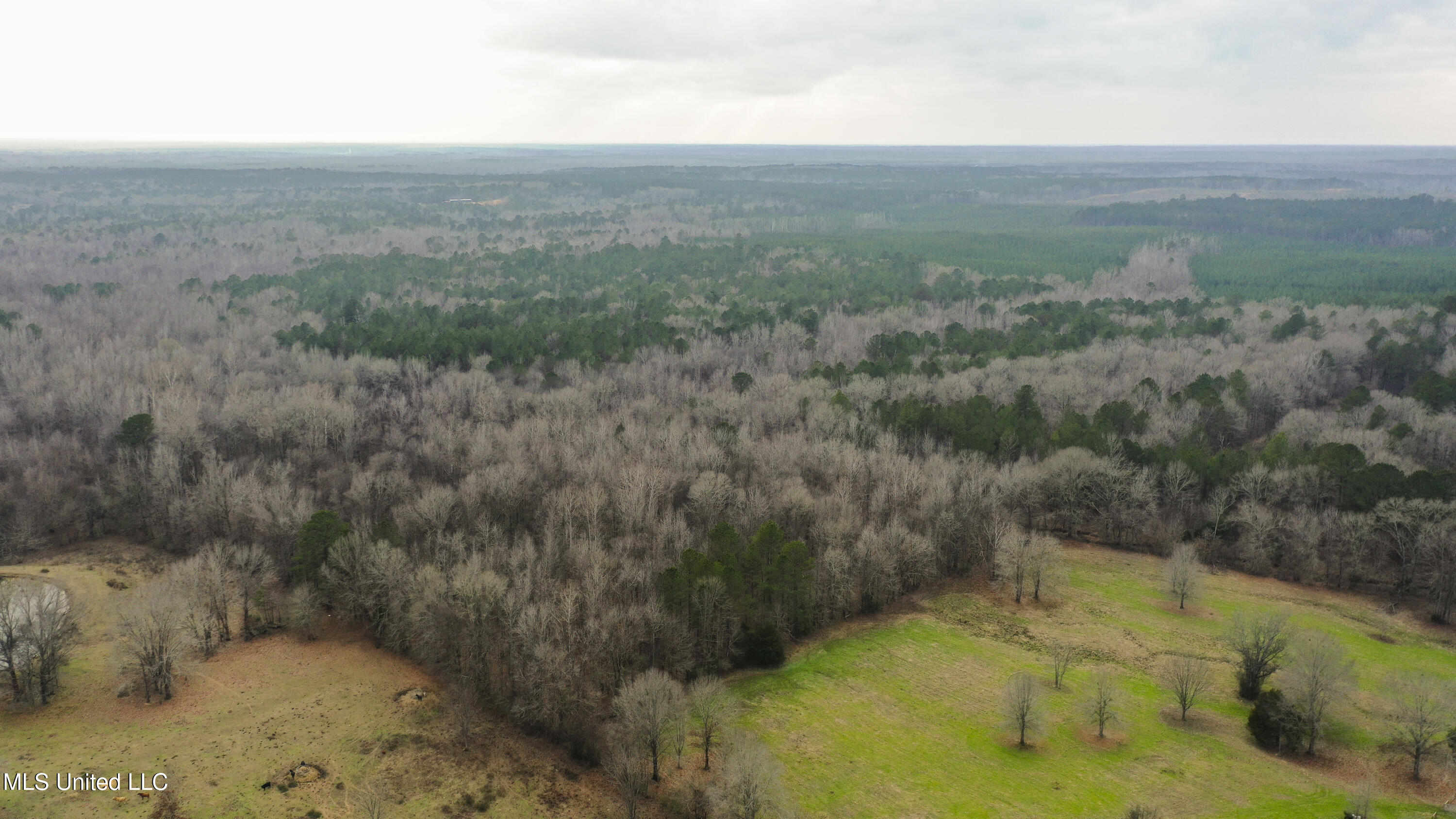 Mount Pilgrim Road Property Photo 52