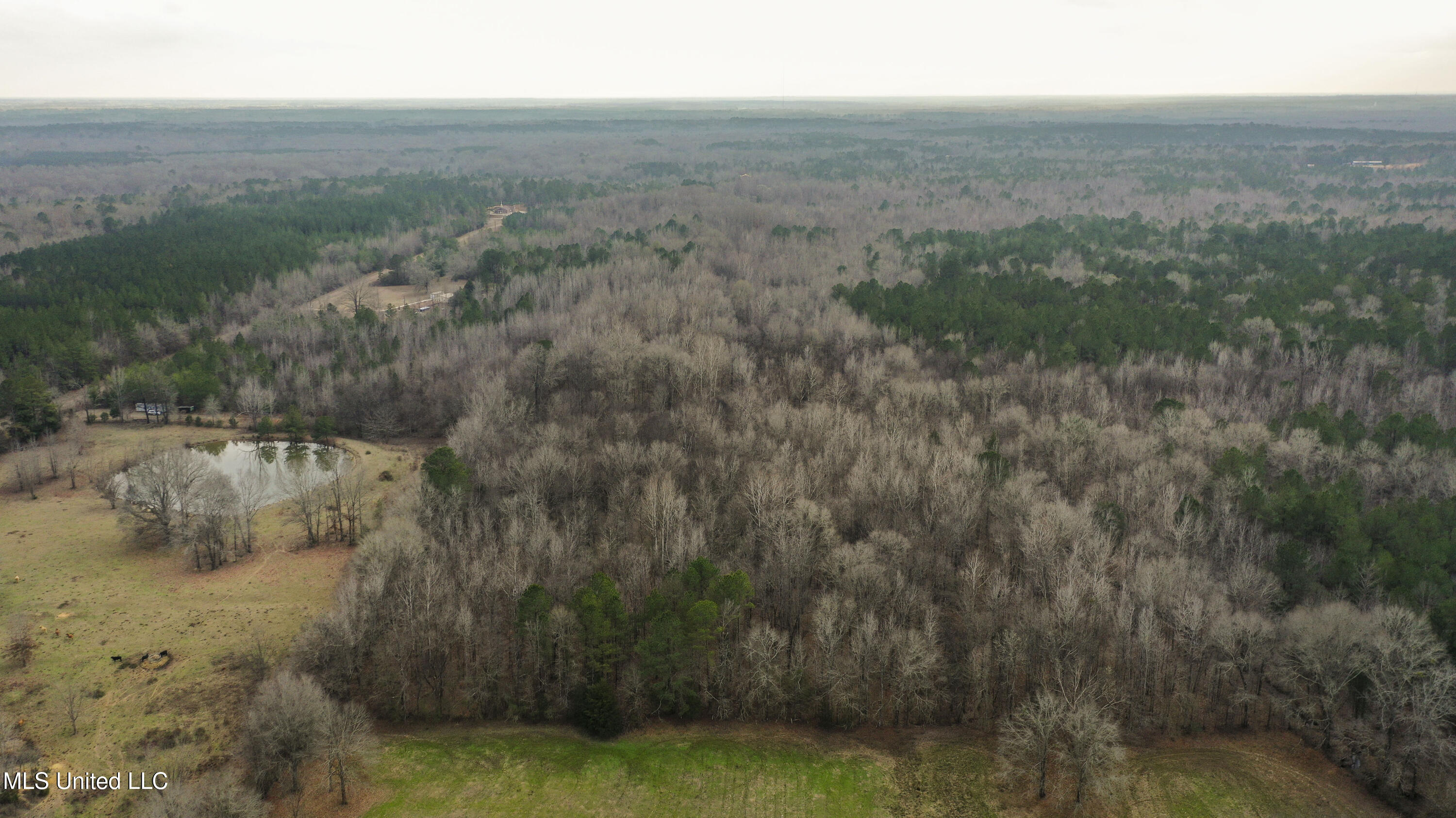 Mount Pilgrim Road Property Photo 53