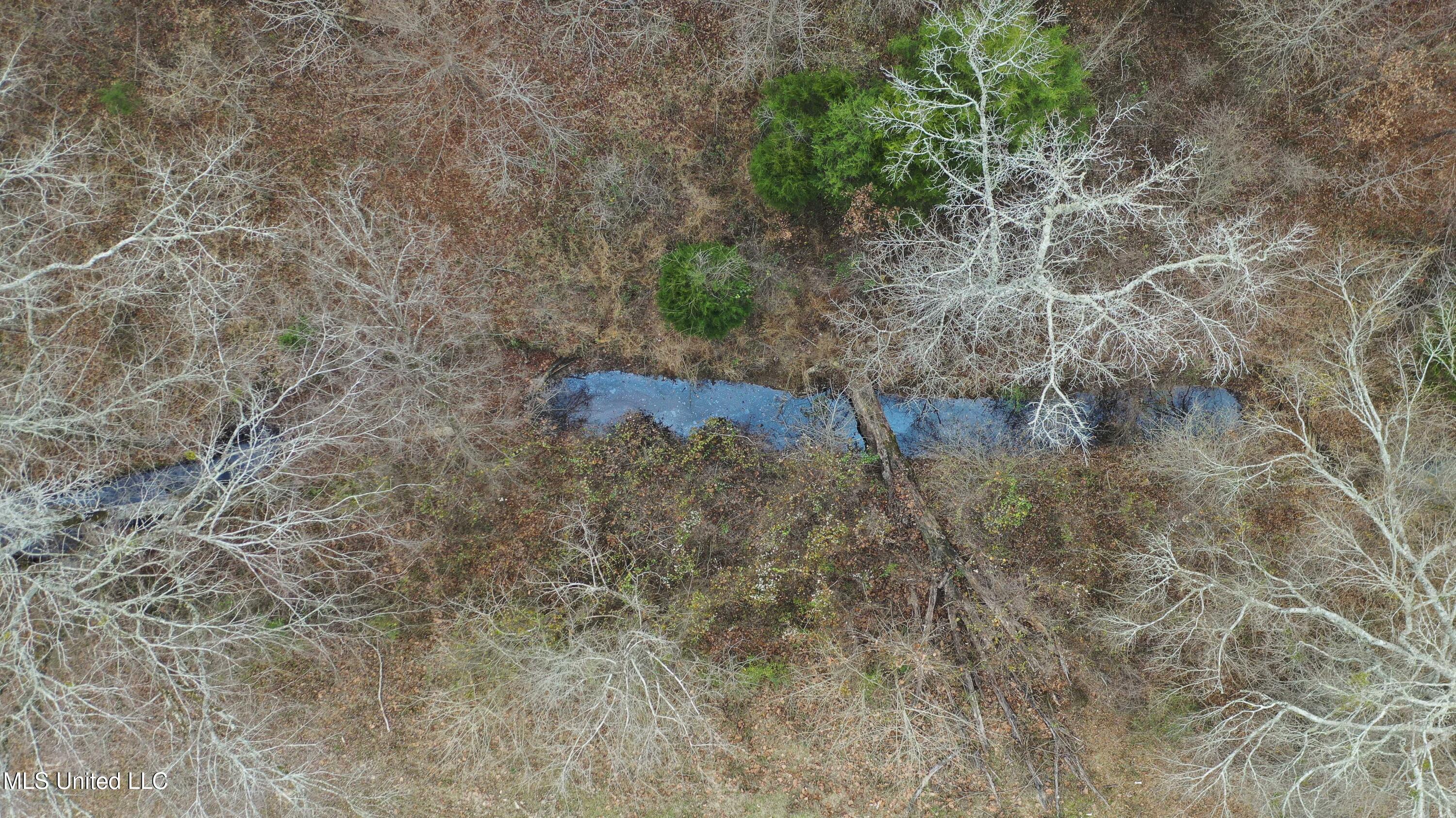 Mount Pilgrim Road Property Photo 55