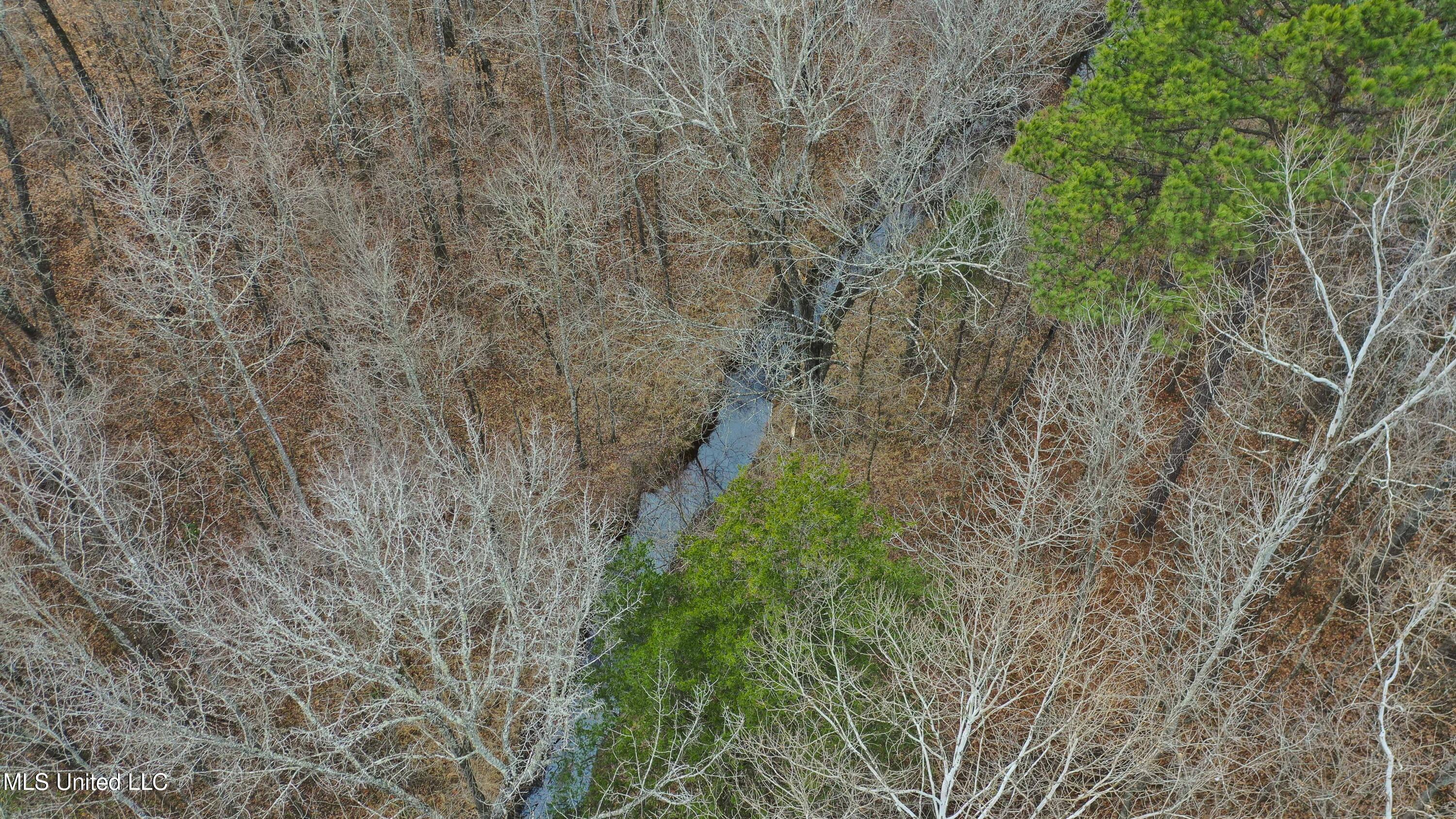Mount Pilgrim Road Property Photo 56