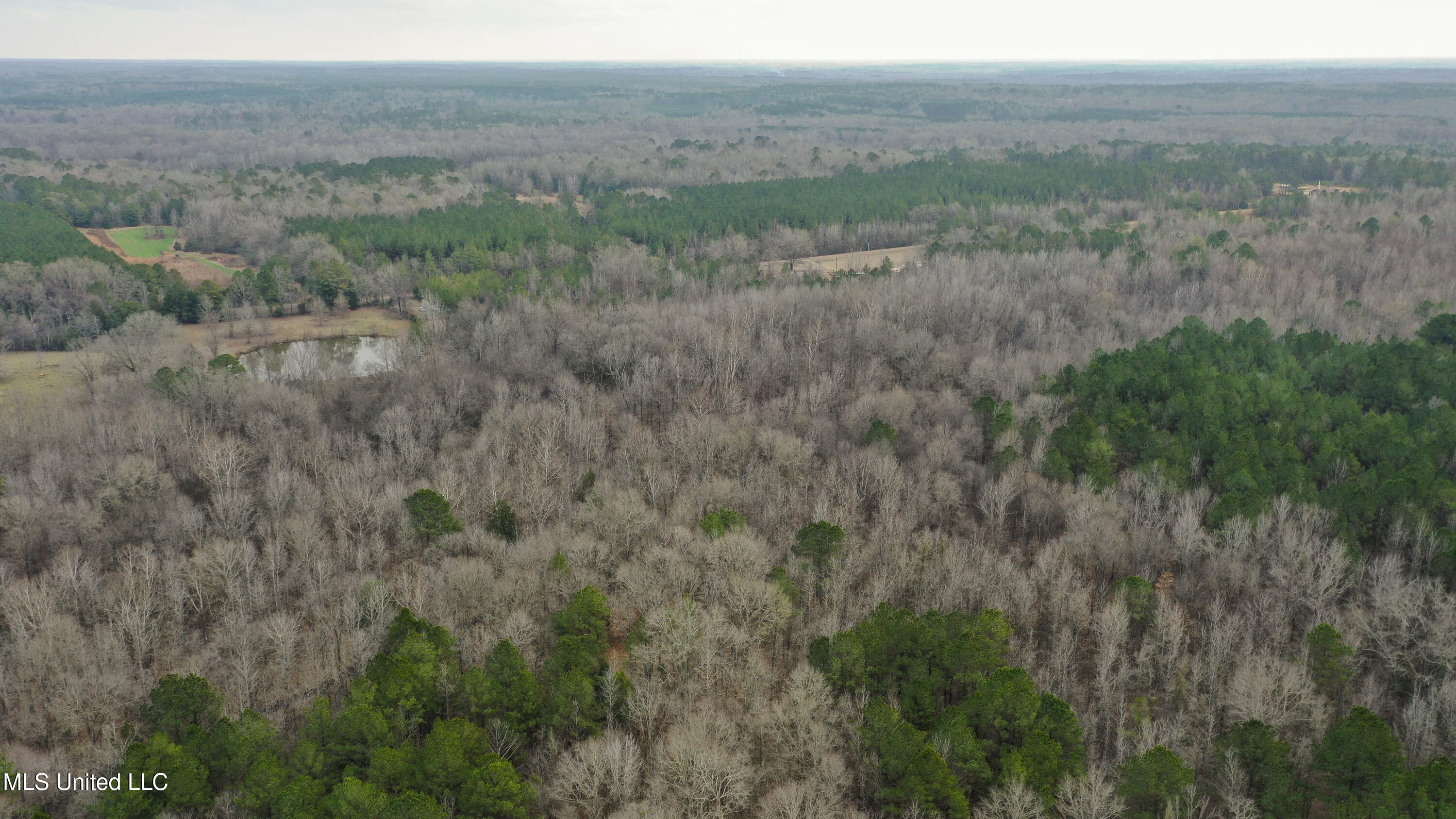 Mount Pilgrim Road Property Photo 59