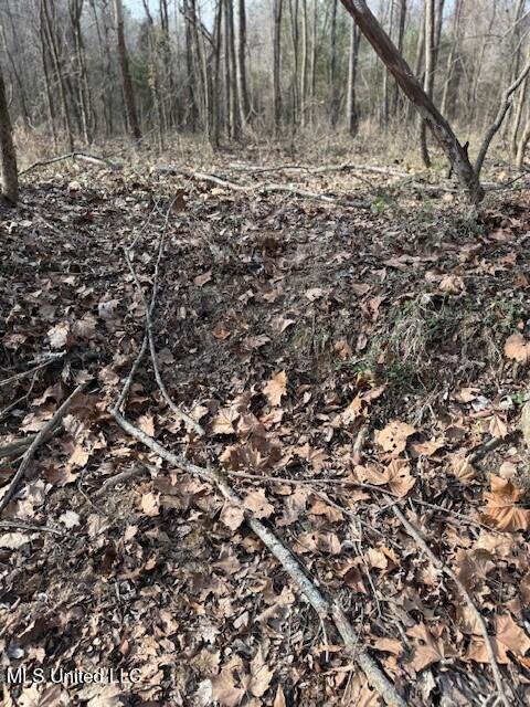Mount Pilgrim Road Property Photo 62