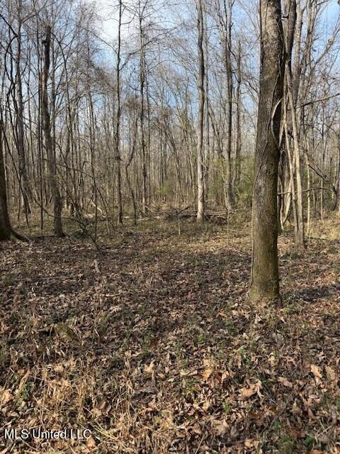 Mount Pilgrim Road Property Photo 63