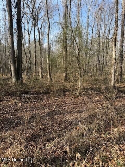 Mount Pilgrim Road Property Photo 65