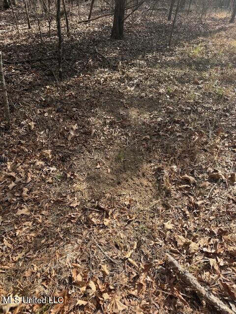 Mount Pilgrim Road Property Photo 69