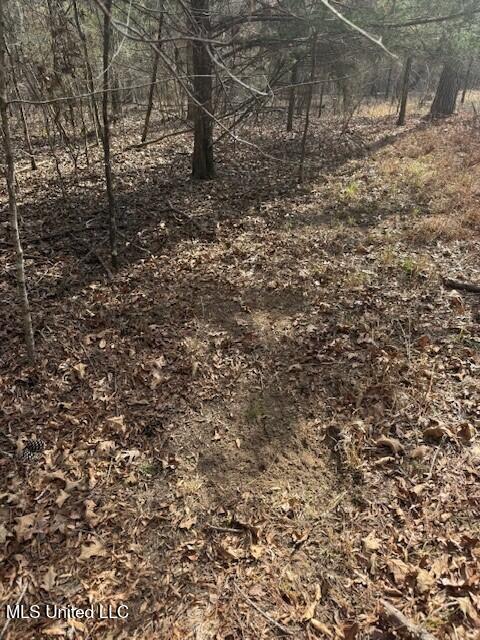 Mount Pilgrim Road Property Photo 70