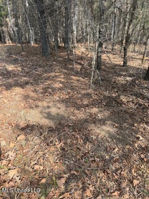 Mount Pilgrim Road Property Photo 71