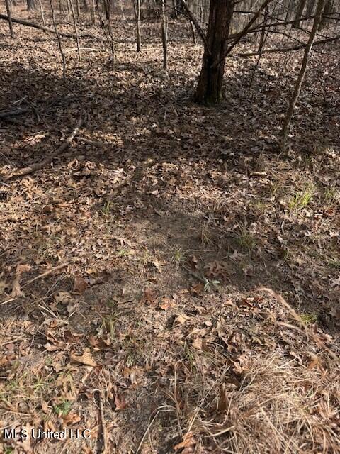 Mount Pilgrim Road Property Photo 72