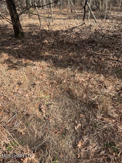 Mount Pilgrim Road Property Photo 73