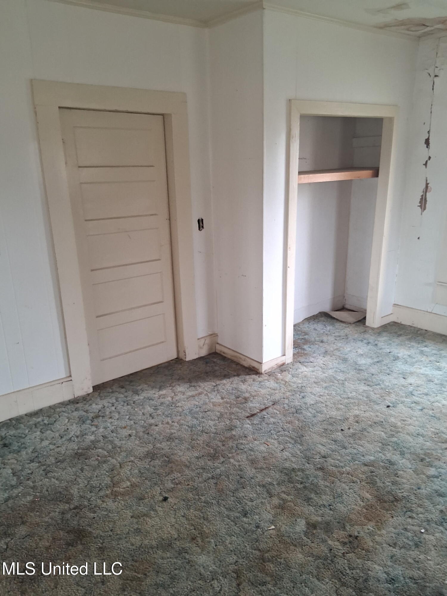 107 Cypress Street Property Photo 13
