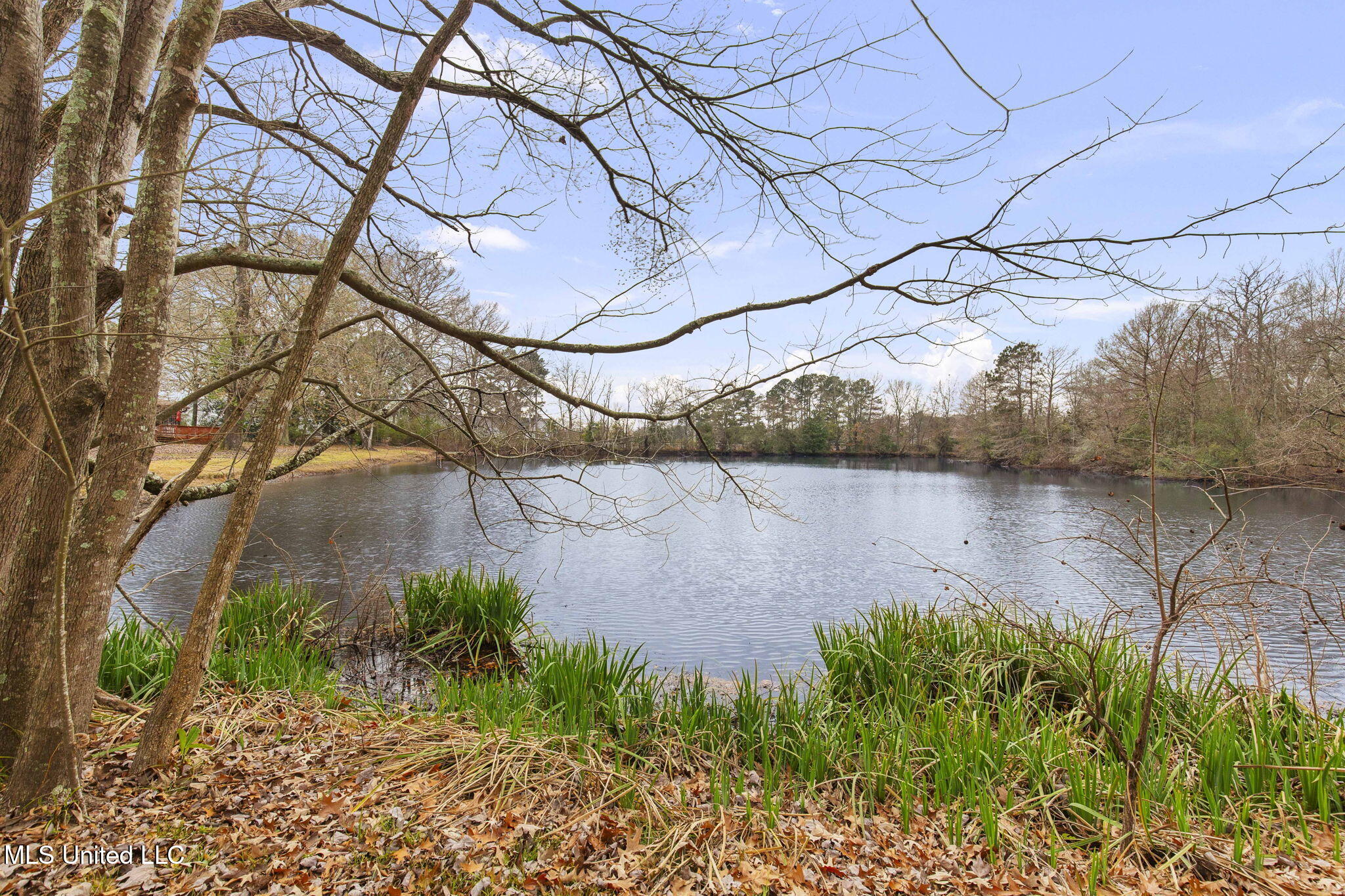 103 Wickstead Drive Property Photo 4