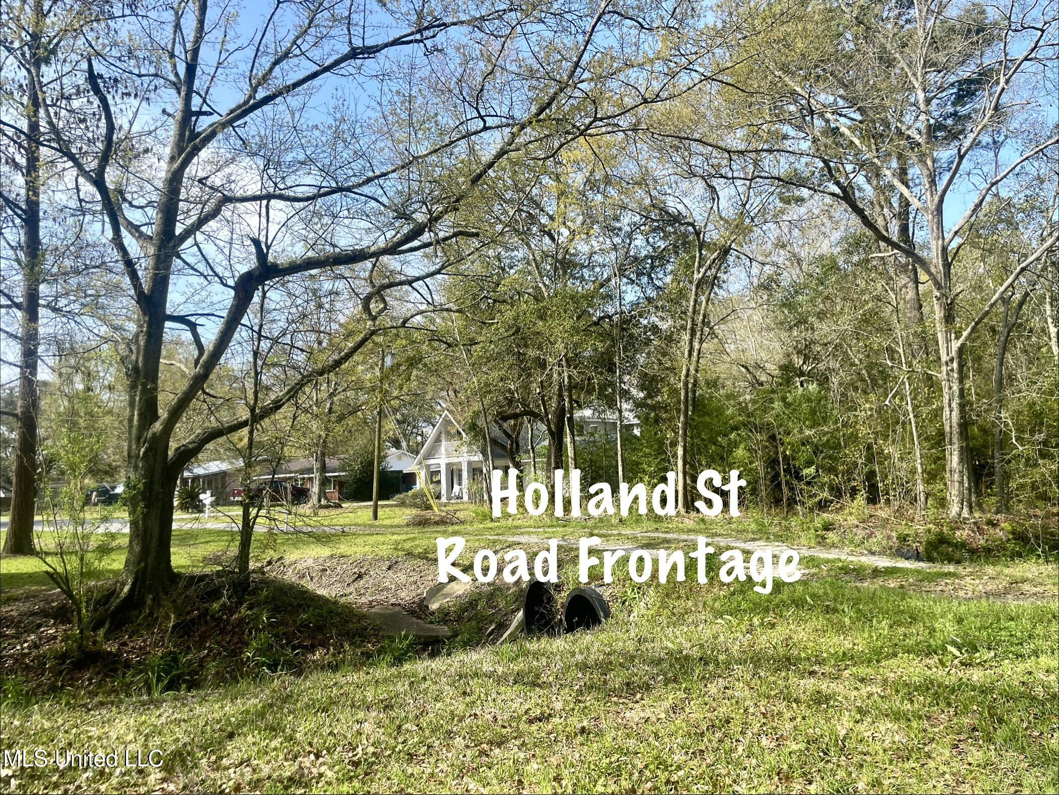 Holland Street Property Photo 14