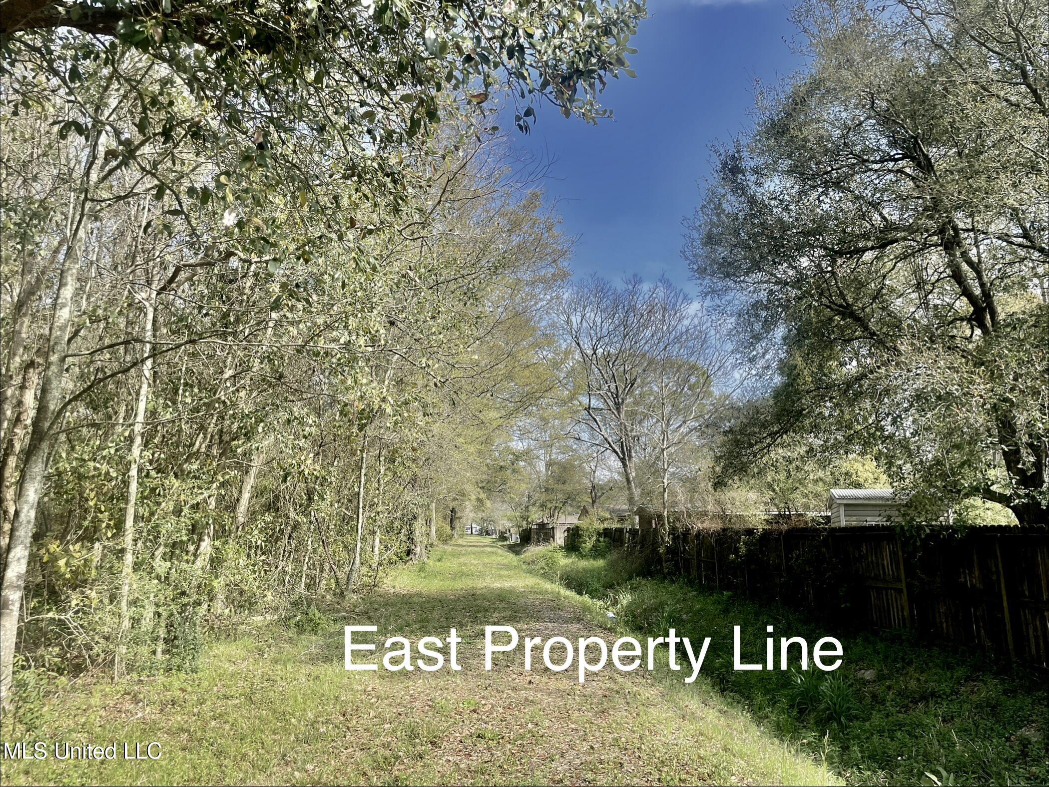 Holland Street Property Photo 18
