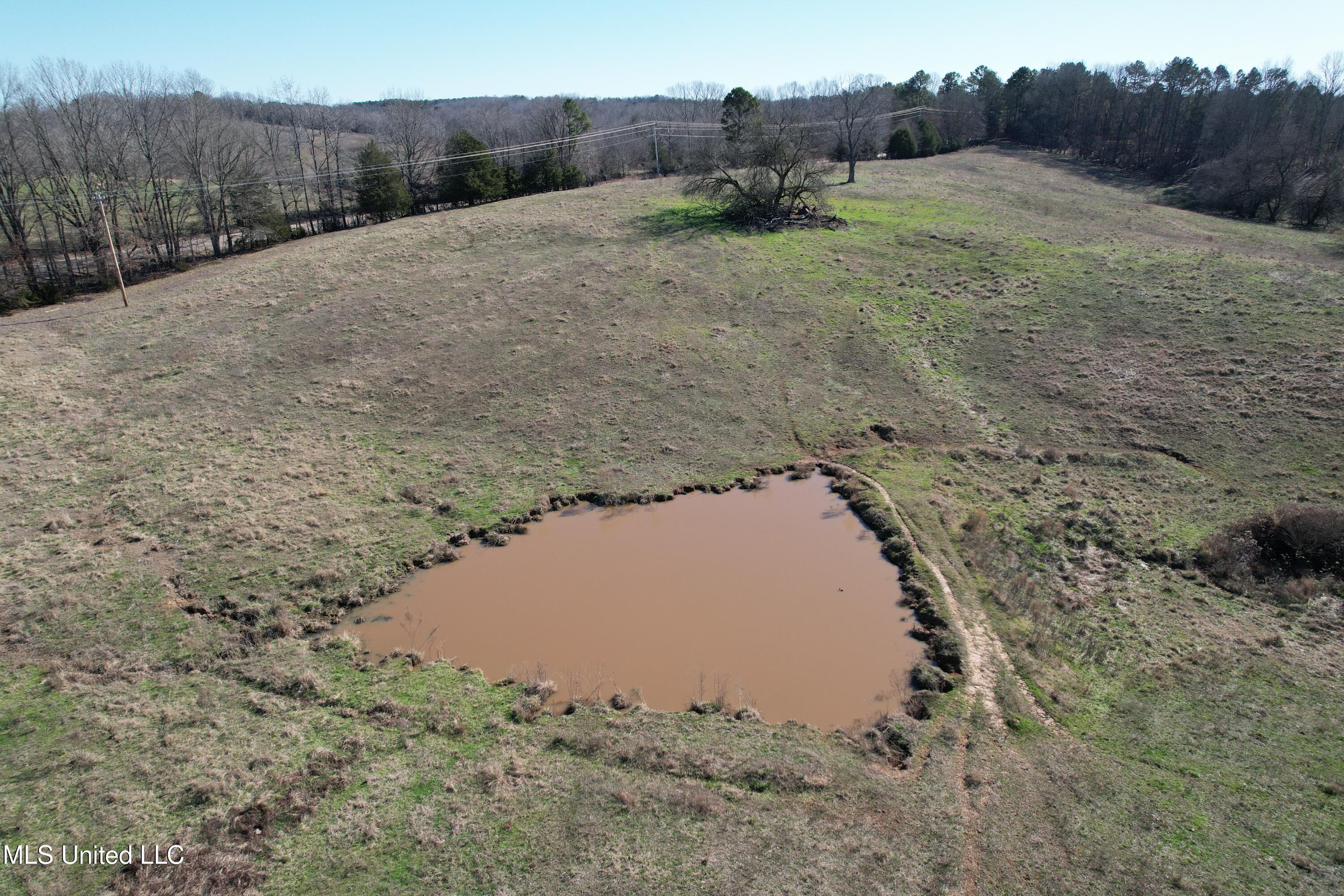 349 Highway Property Photo 14