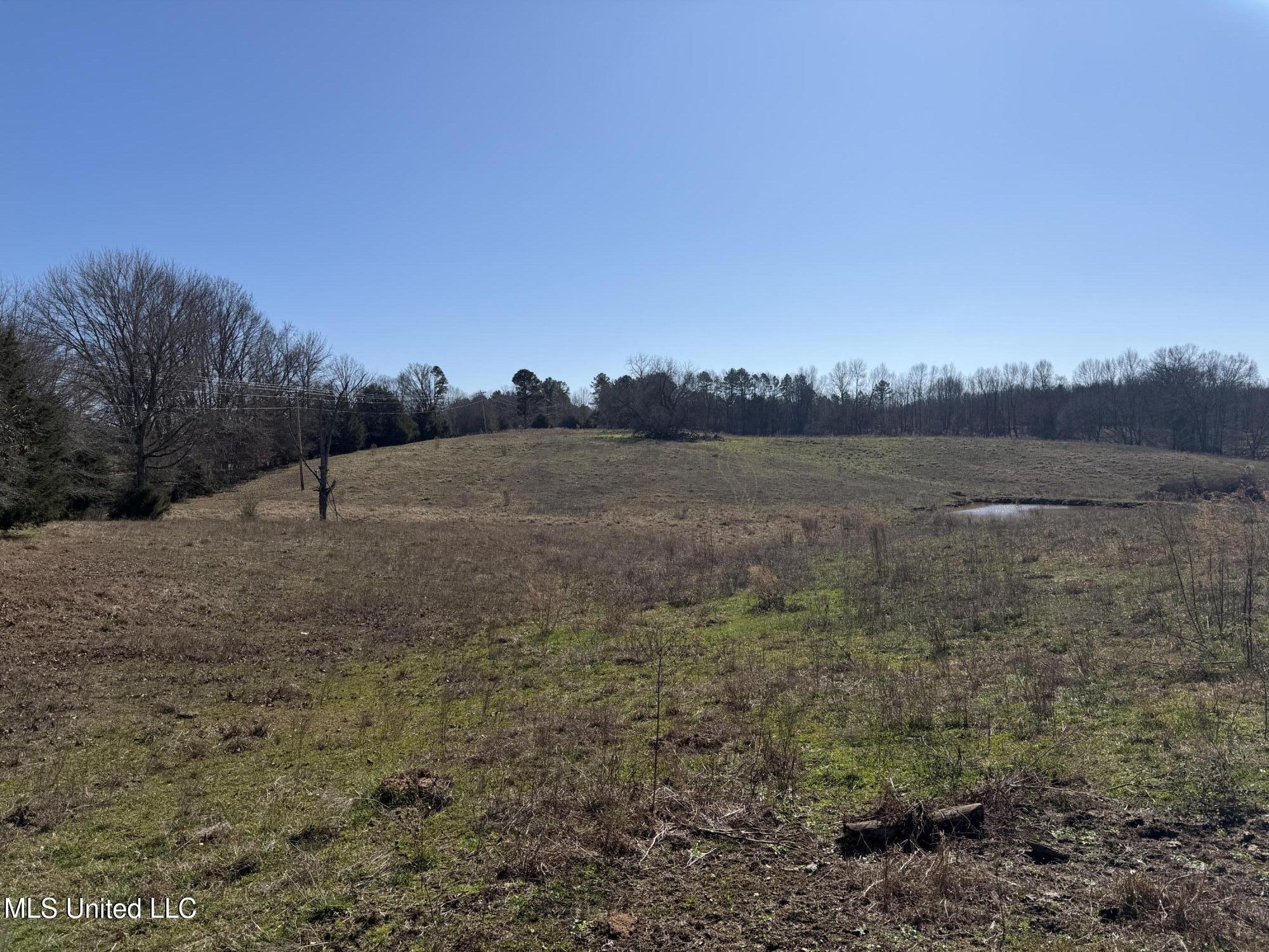 349 Highway Property Photo 16