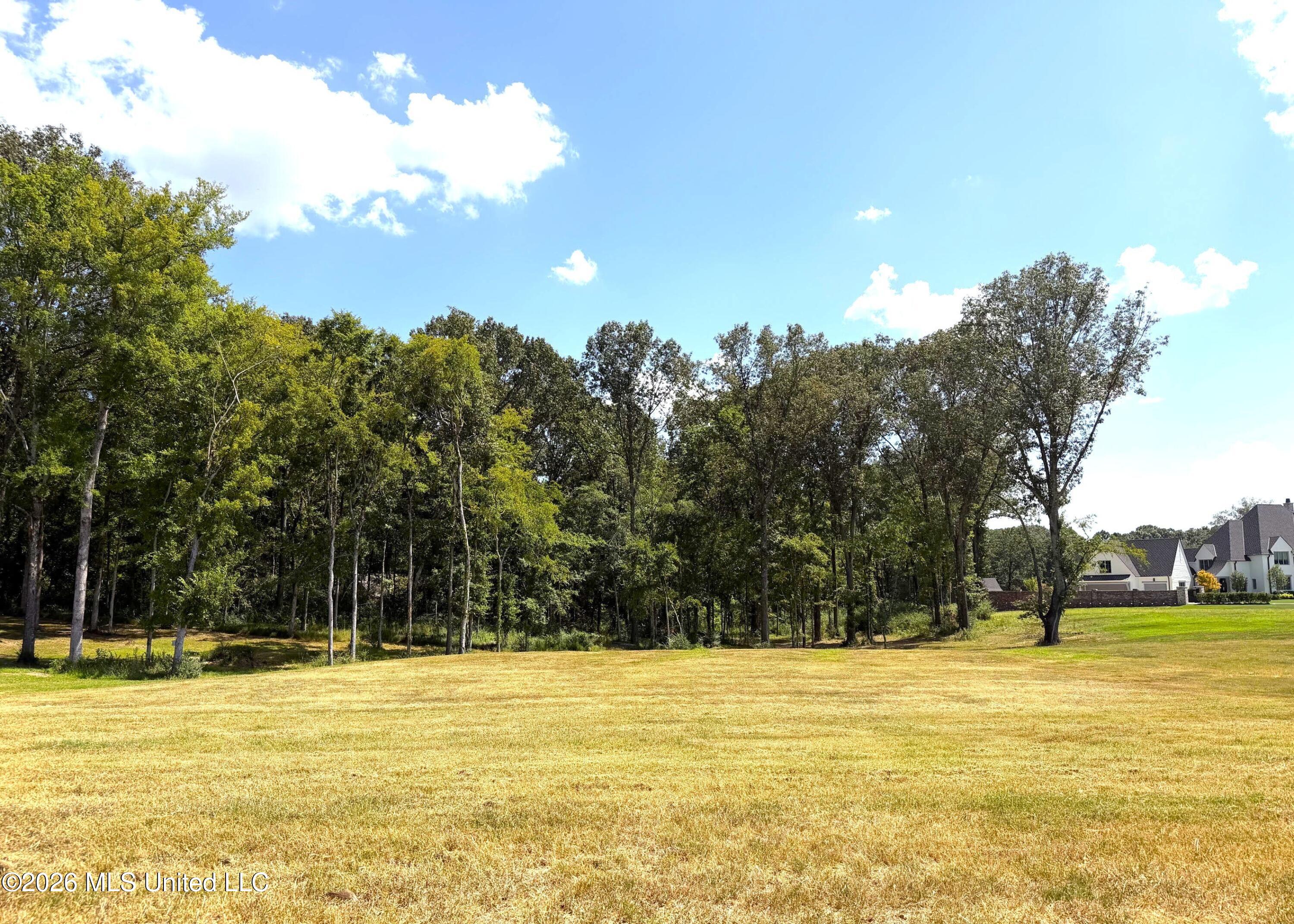 870 Red Cedar Loop Property Photo 3