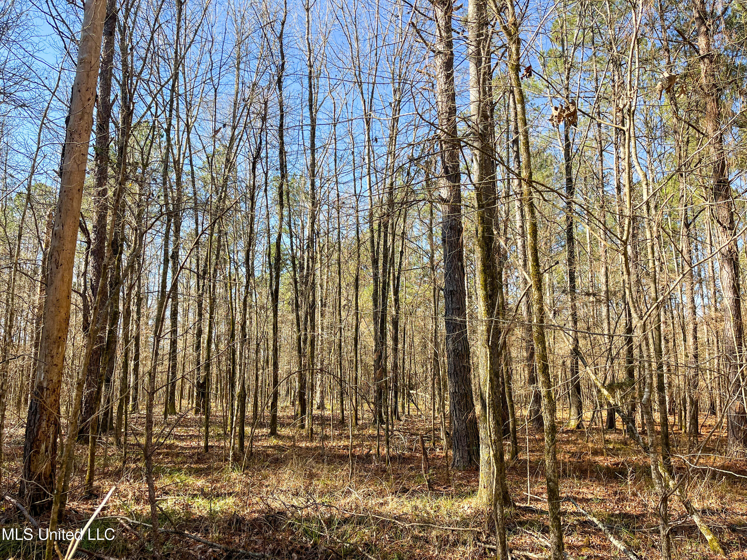 Highway 505 Property Photo 10