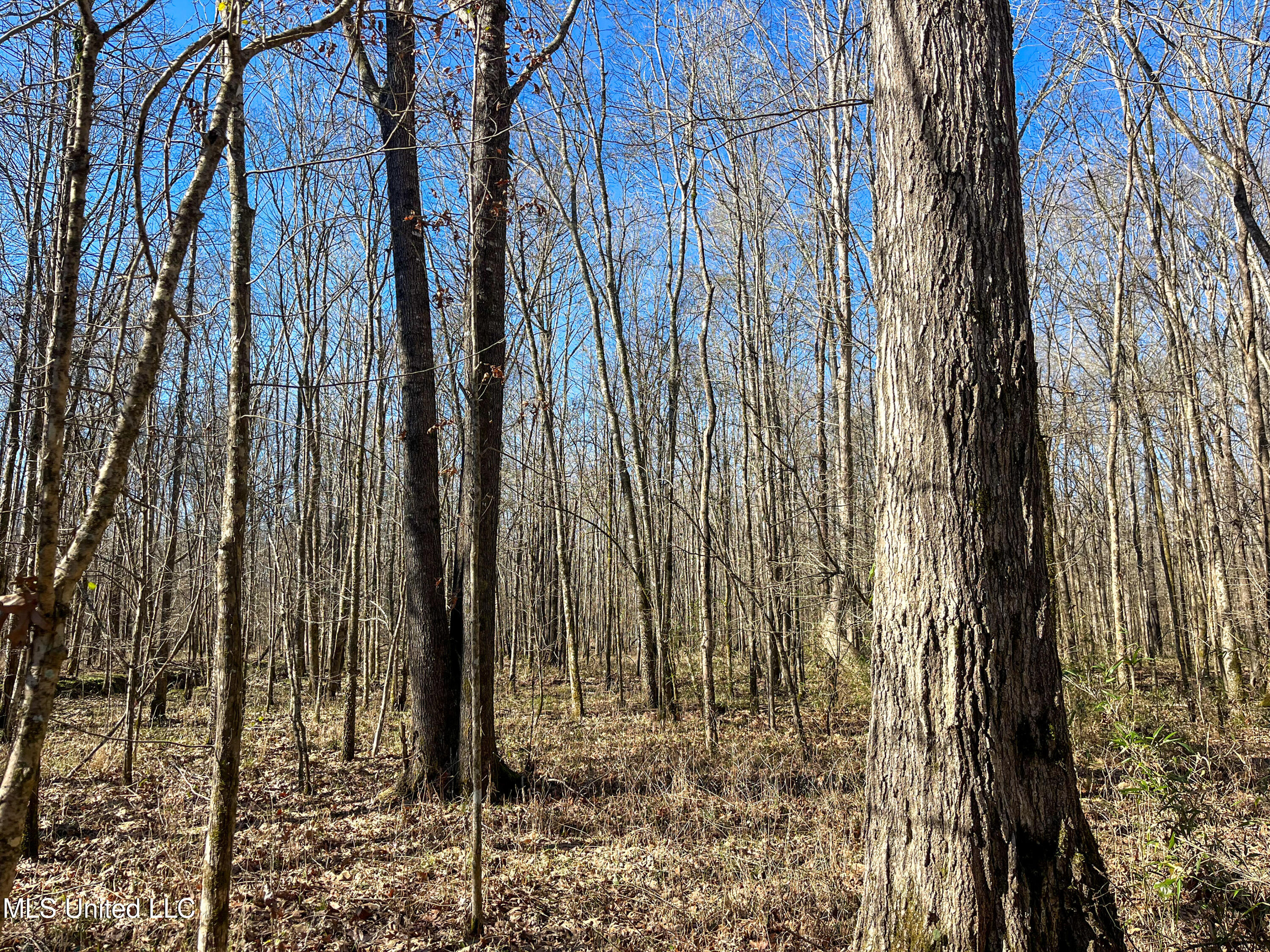 Highway 505 Property Photo 14