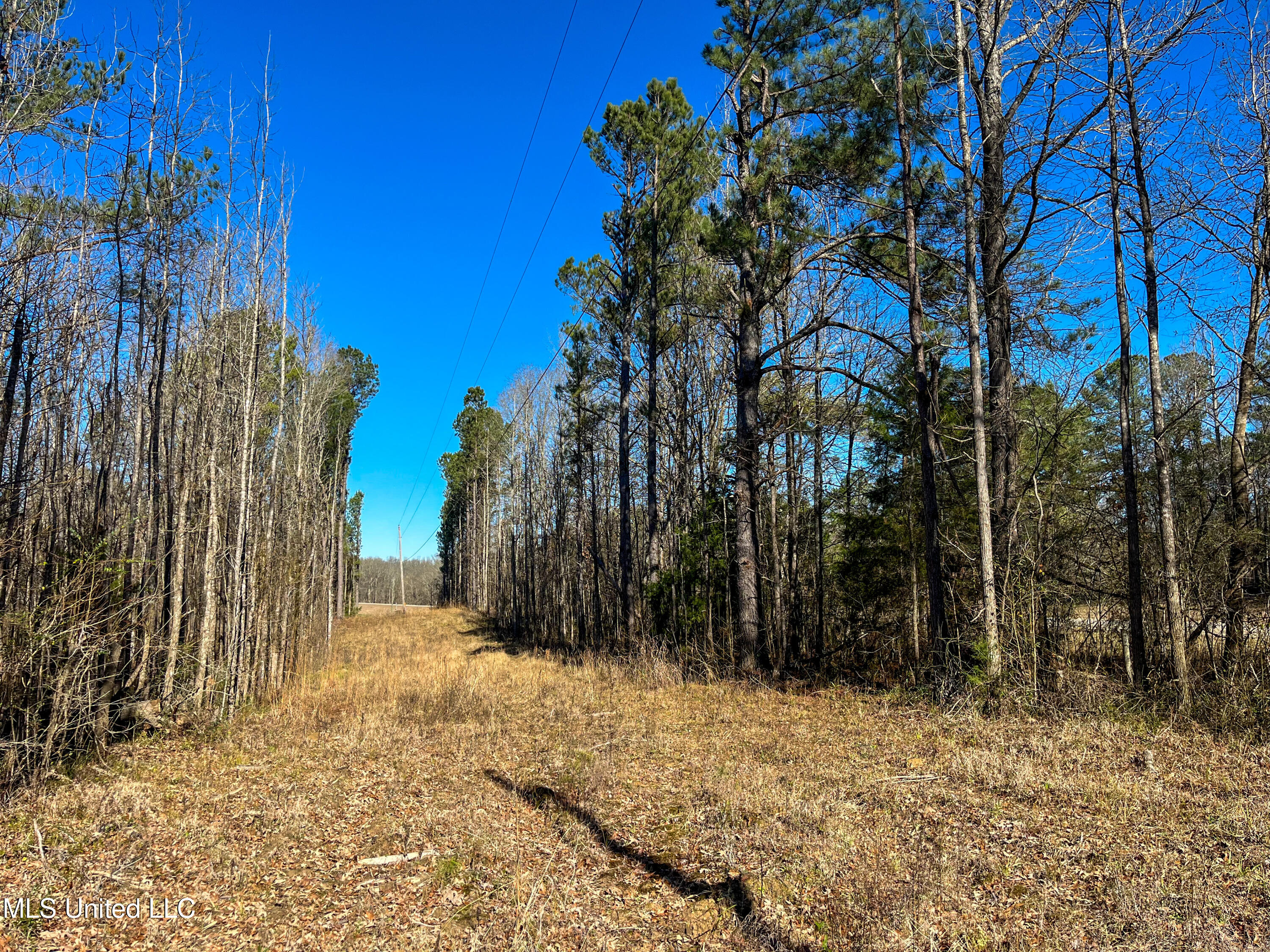 Highway 505 Property Photo 16
