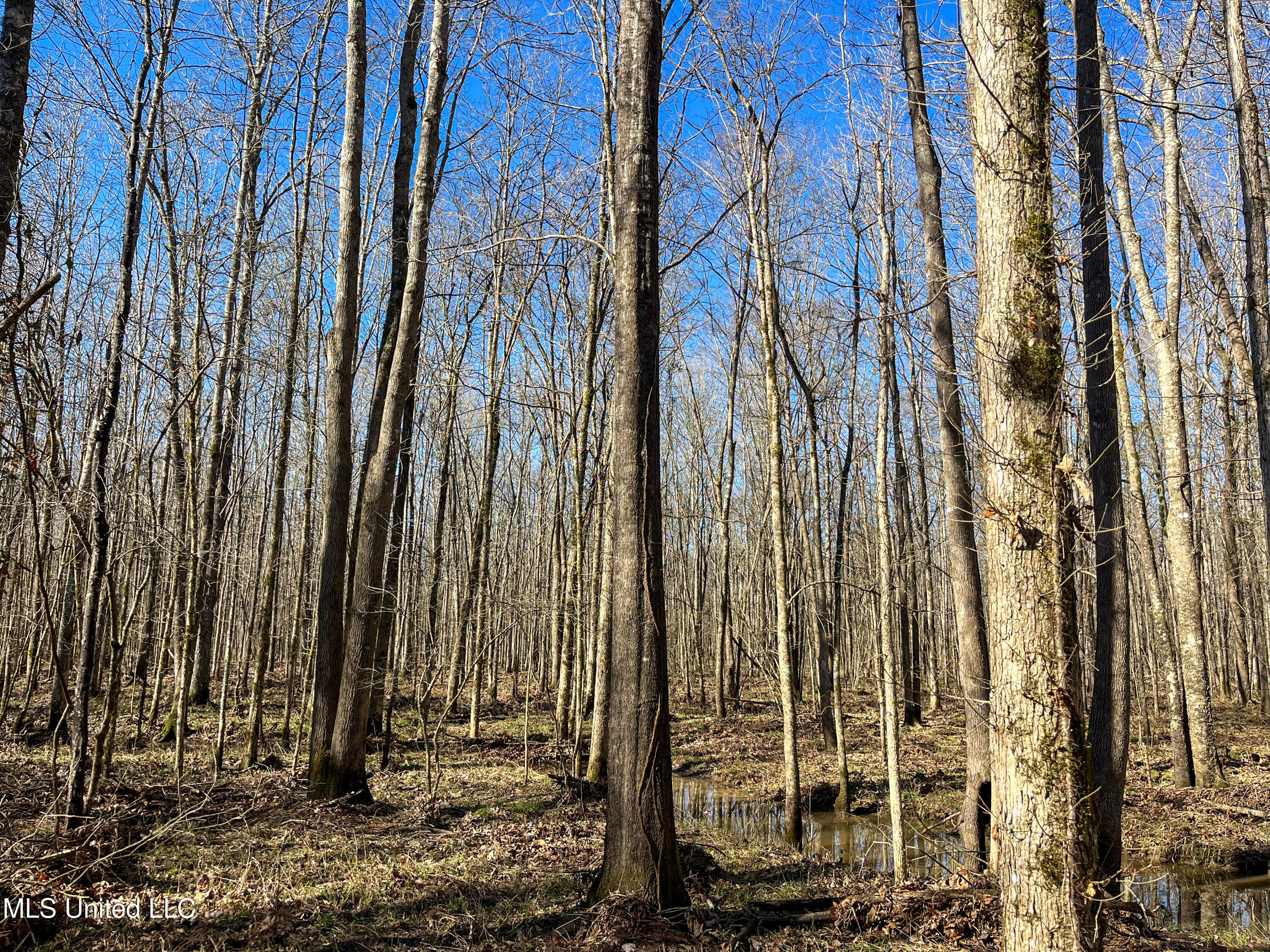 Highway 505 Property Photo 17