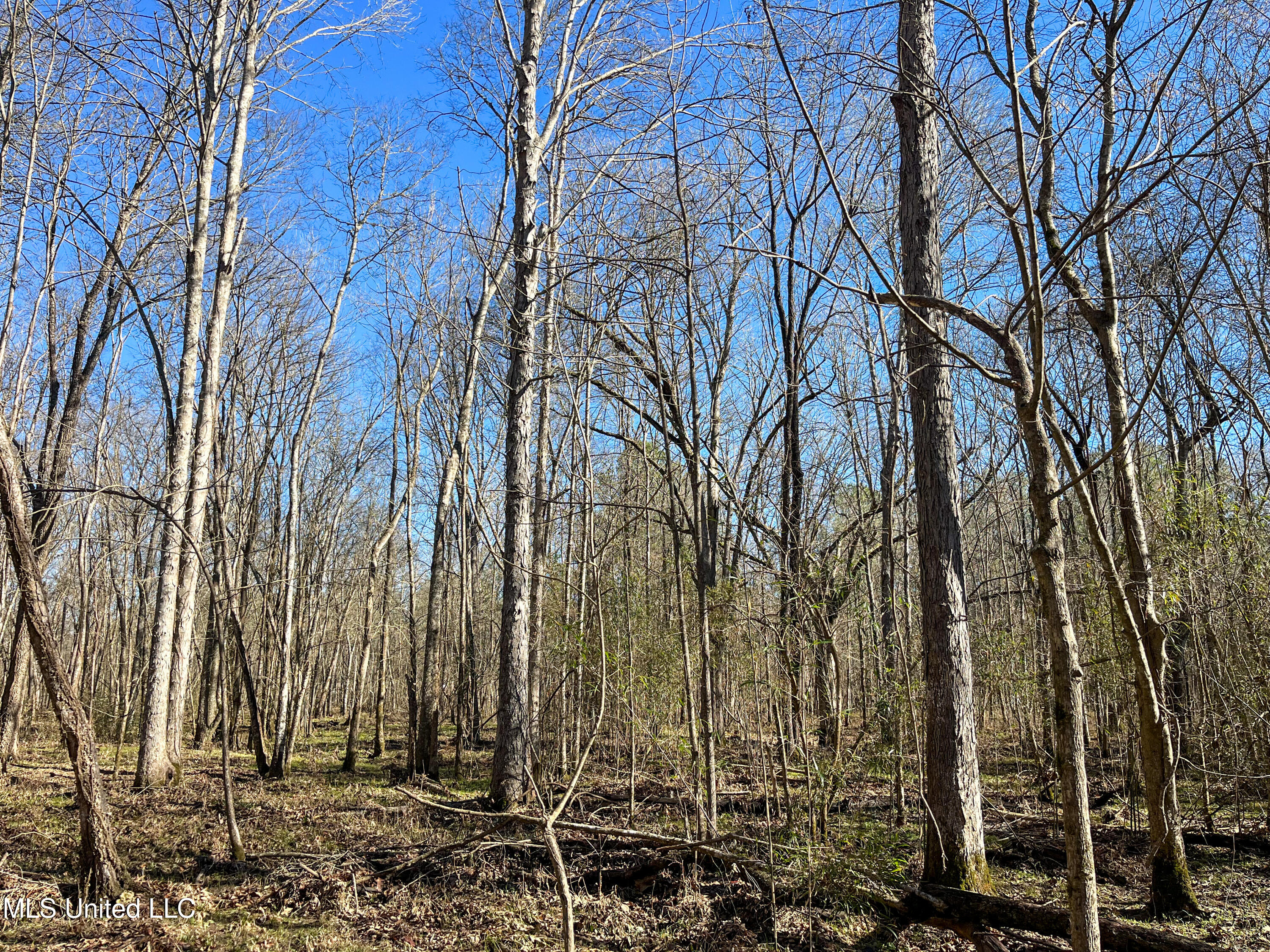 Highway 505 Property Photo 18