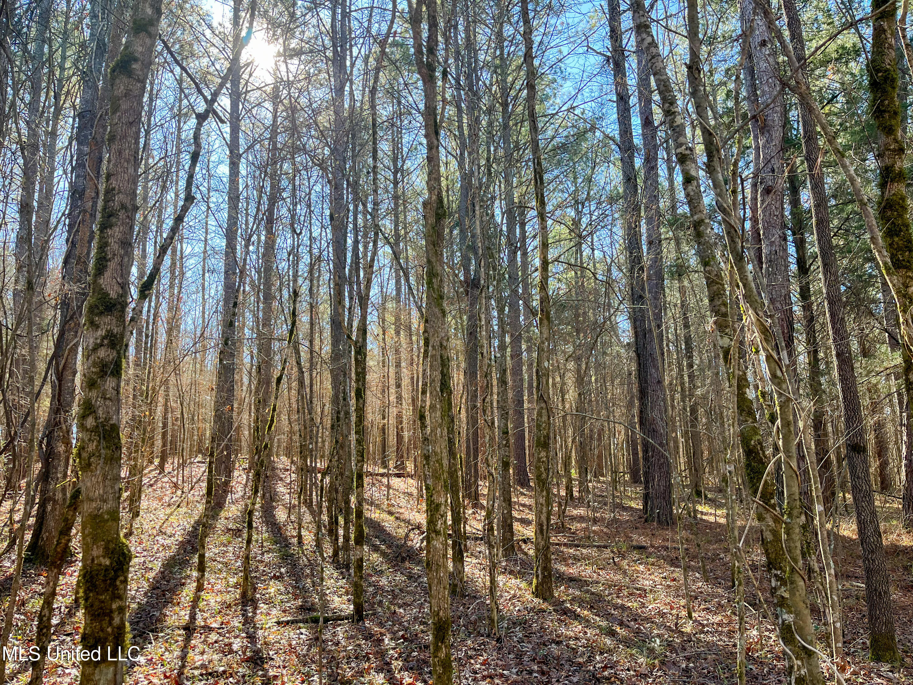 Highway 505 Property Photo 19